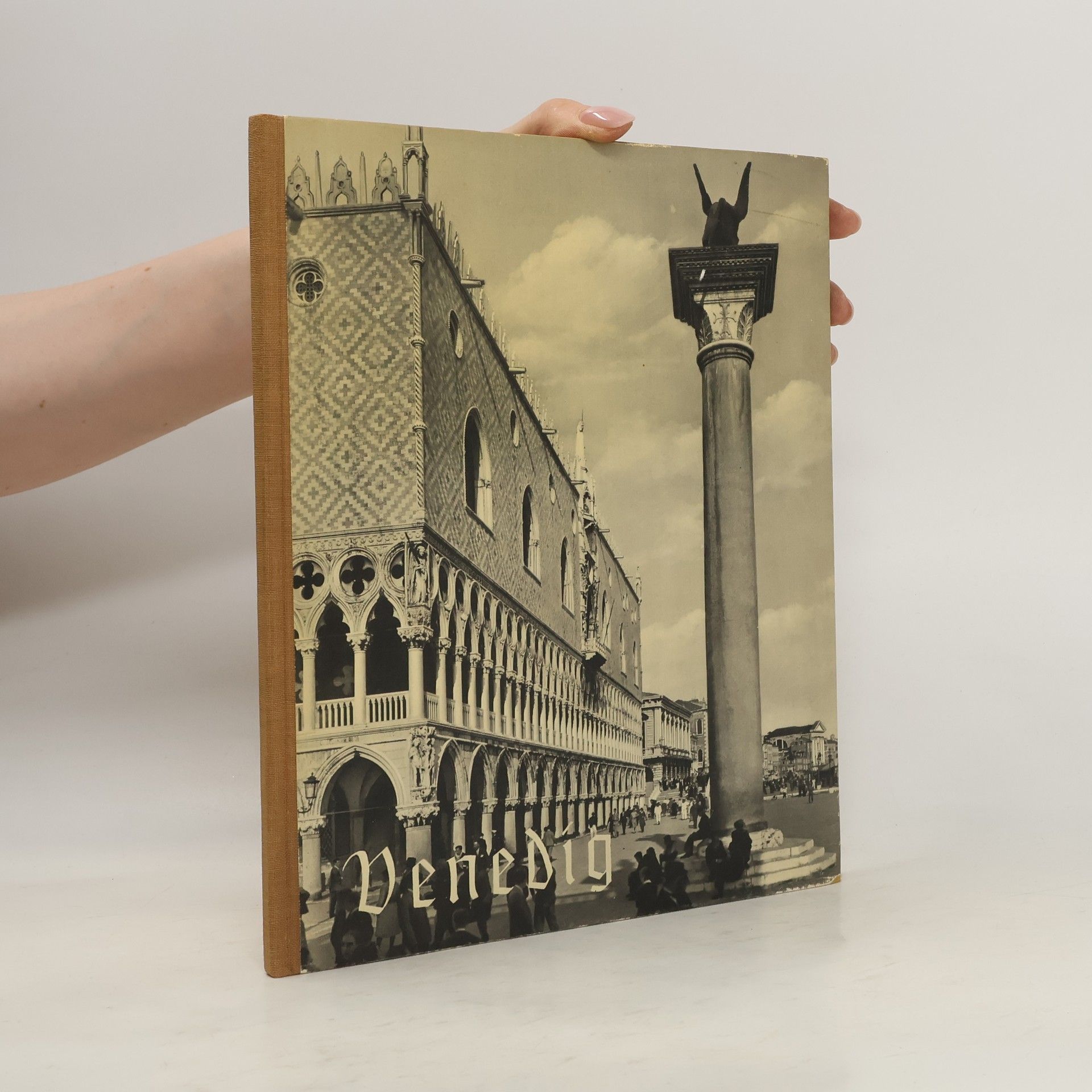 Collective Venedig