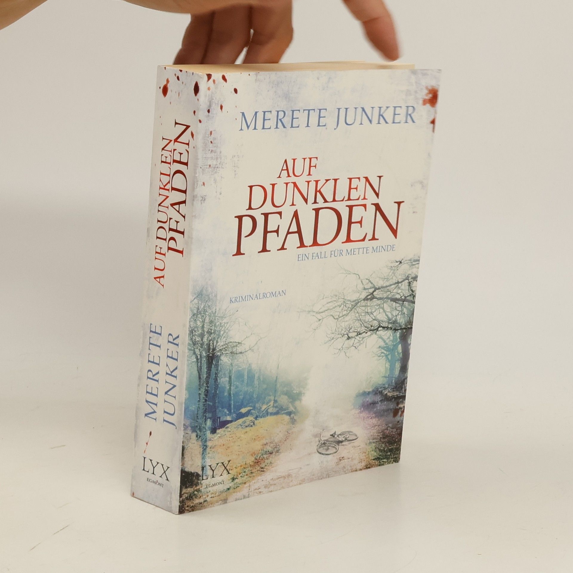 Merete Junker Auf dunklen Pfaden