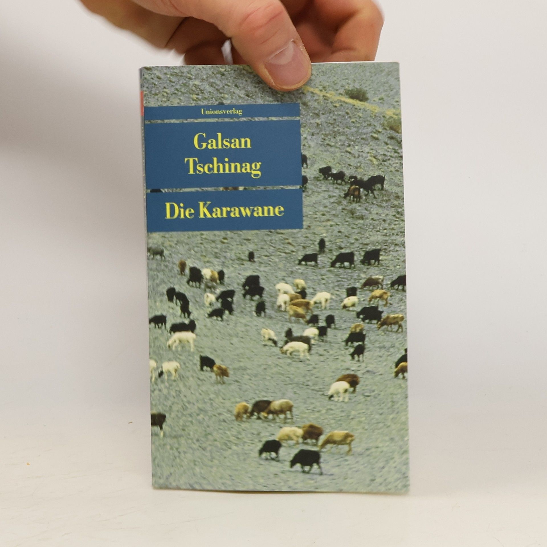 Galsan Tschinag Die Karawane
