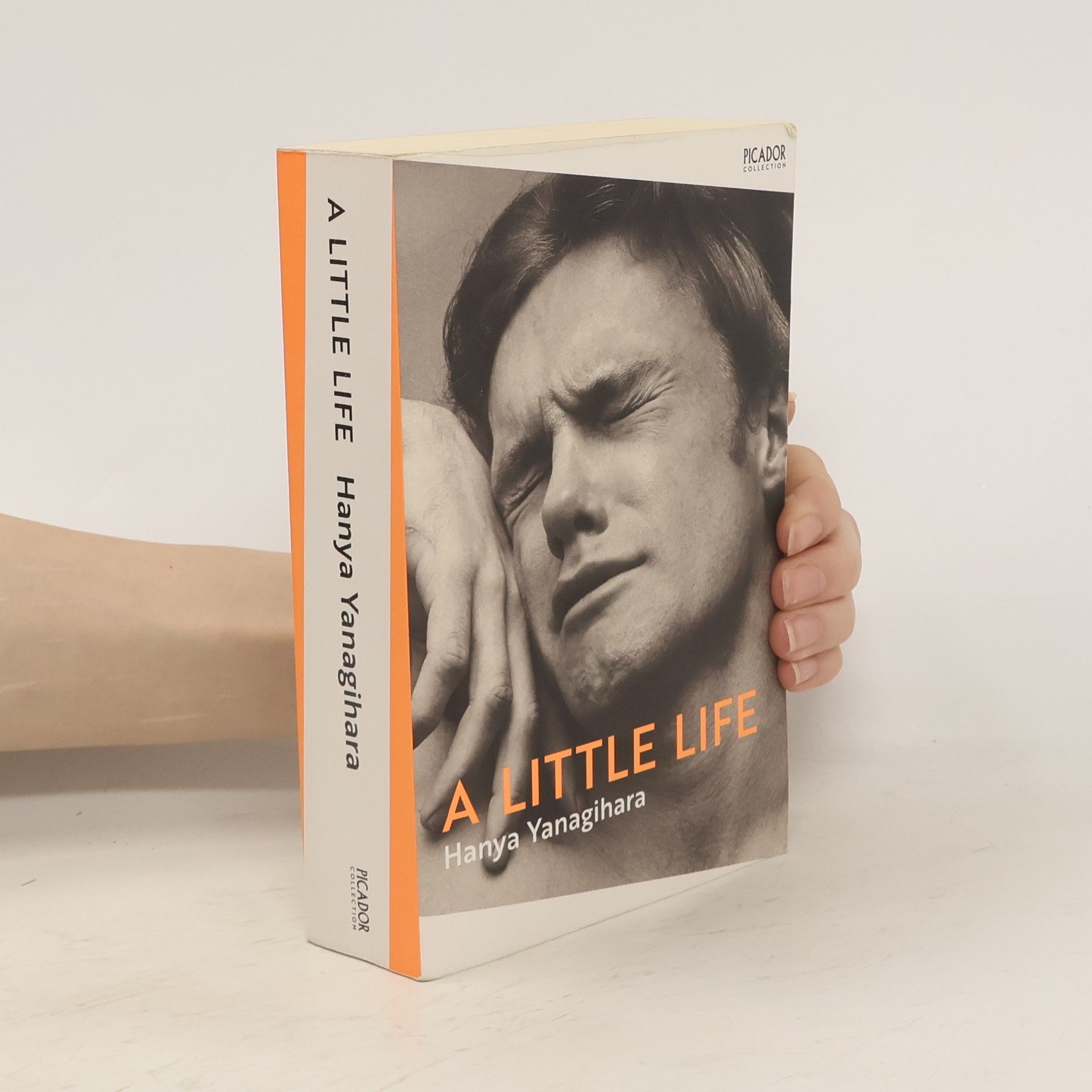 Hanya Yanagihara A Little Life