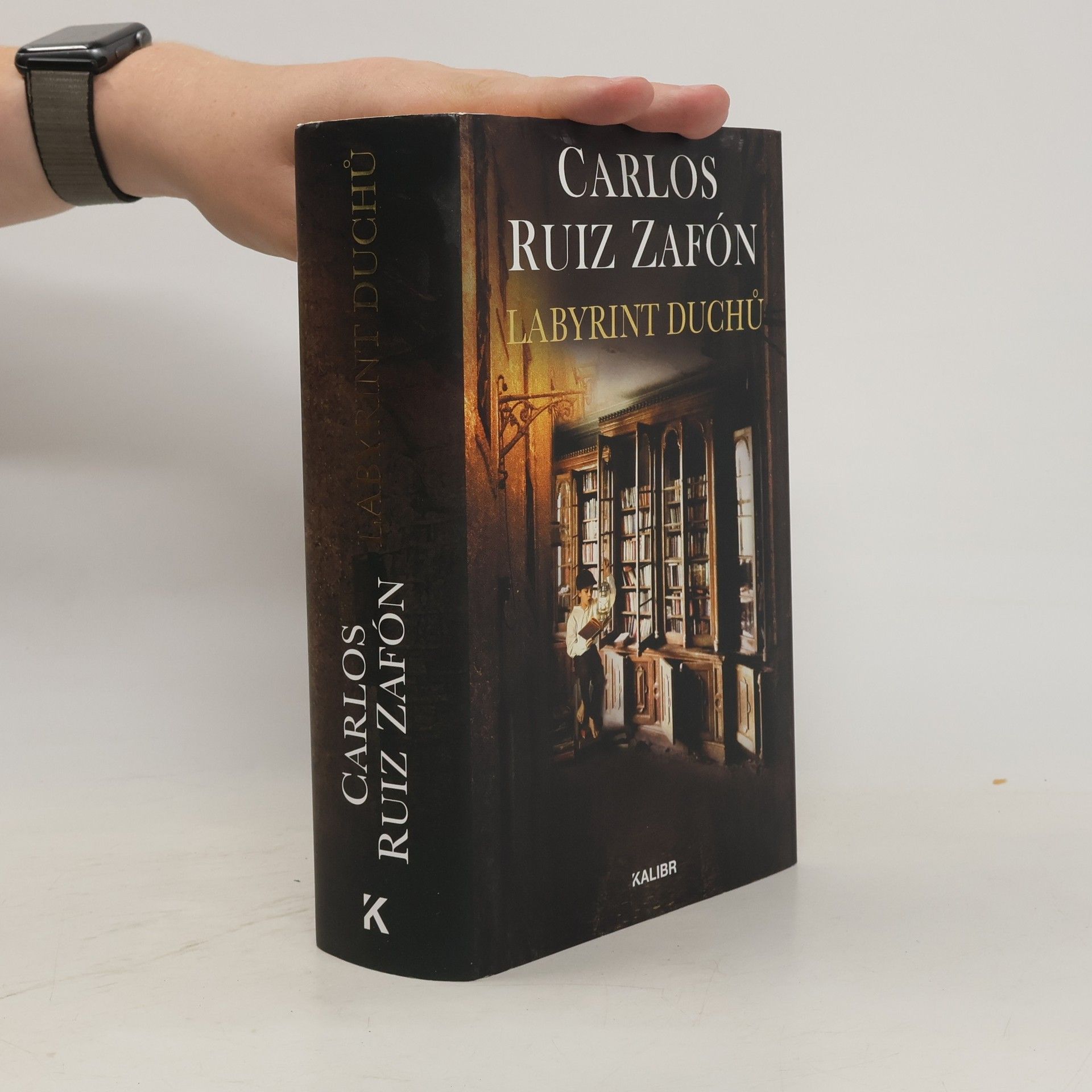 Carlos Ruiz Zafón Labyrint duchů