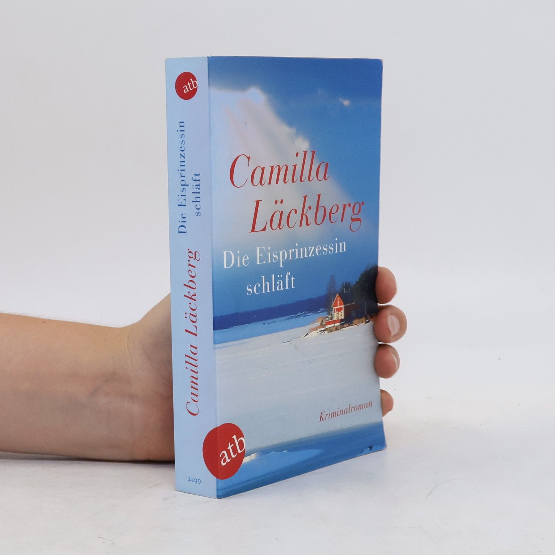Camilla Läckberg Die Eisprinzessin schläft
