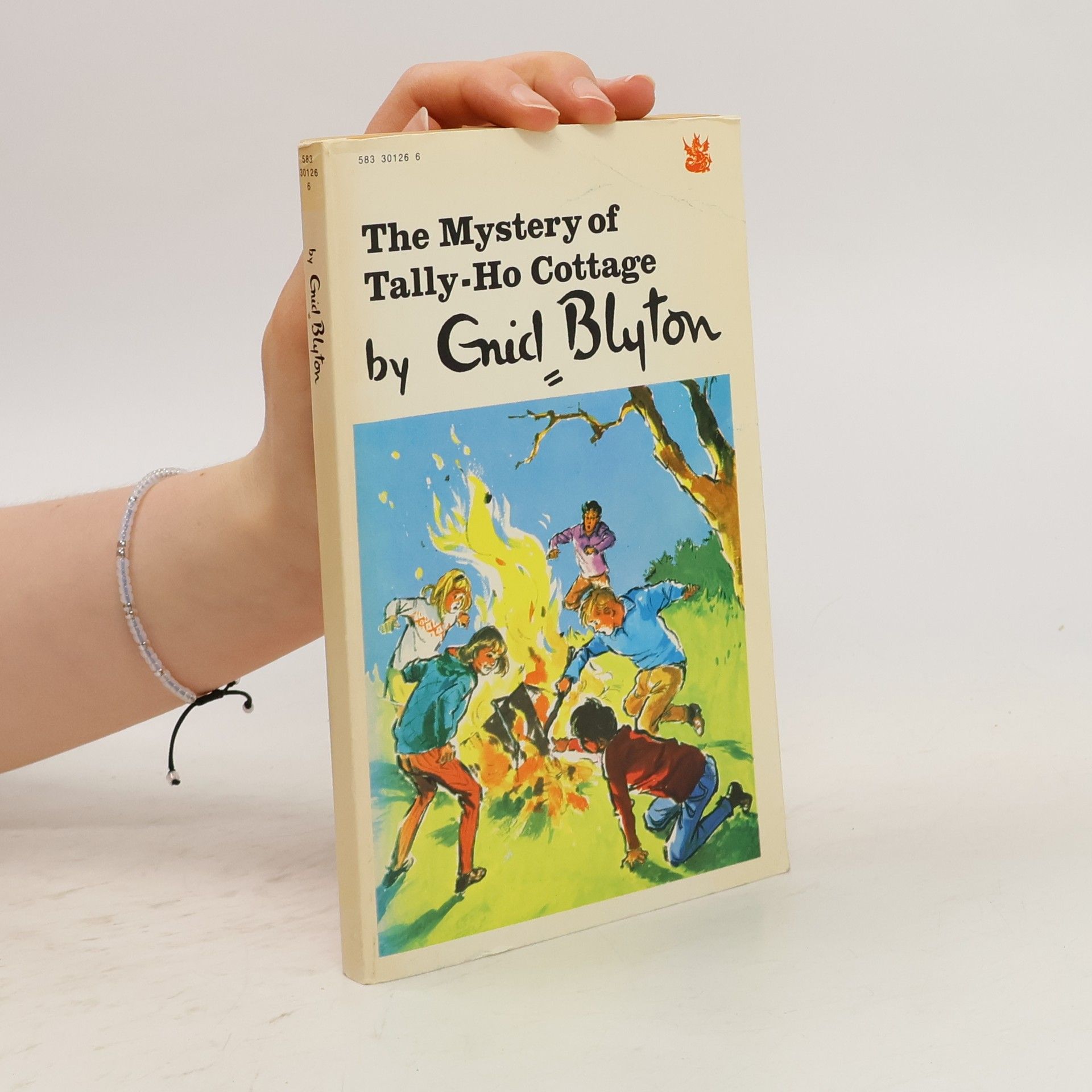 Enid Blyton The Mystery of Tally-Ho Cottage