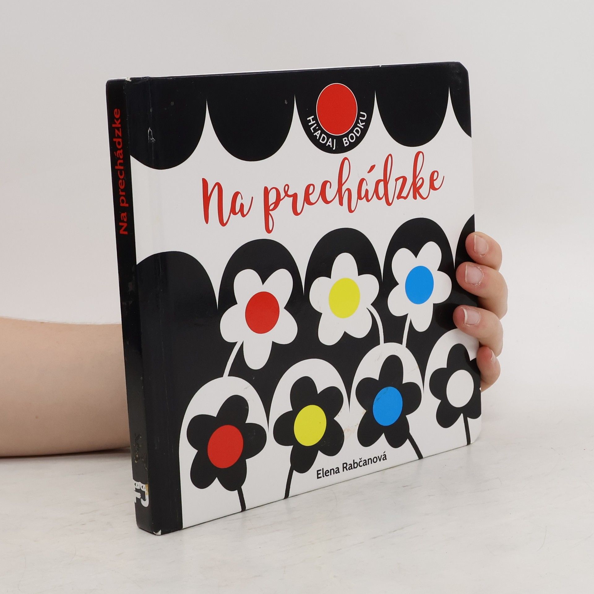 Elena Rabčanová Kontrasty: Na prechádzke