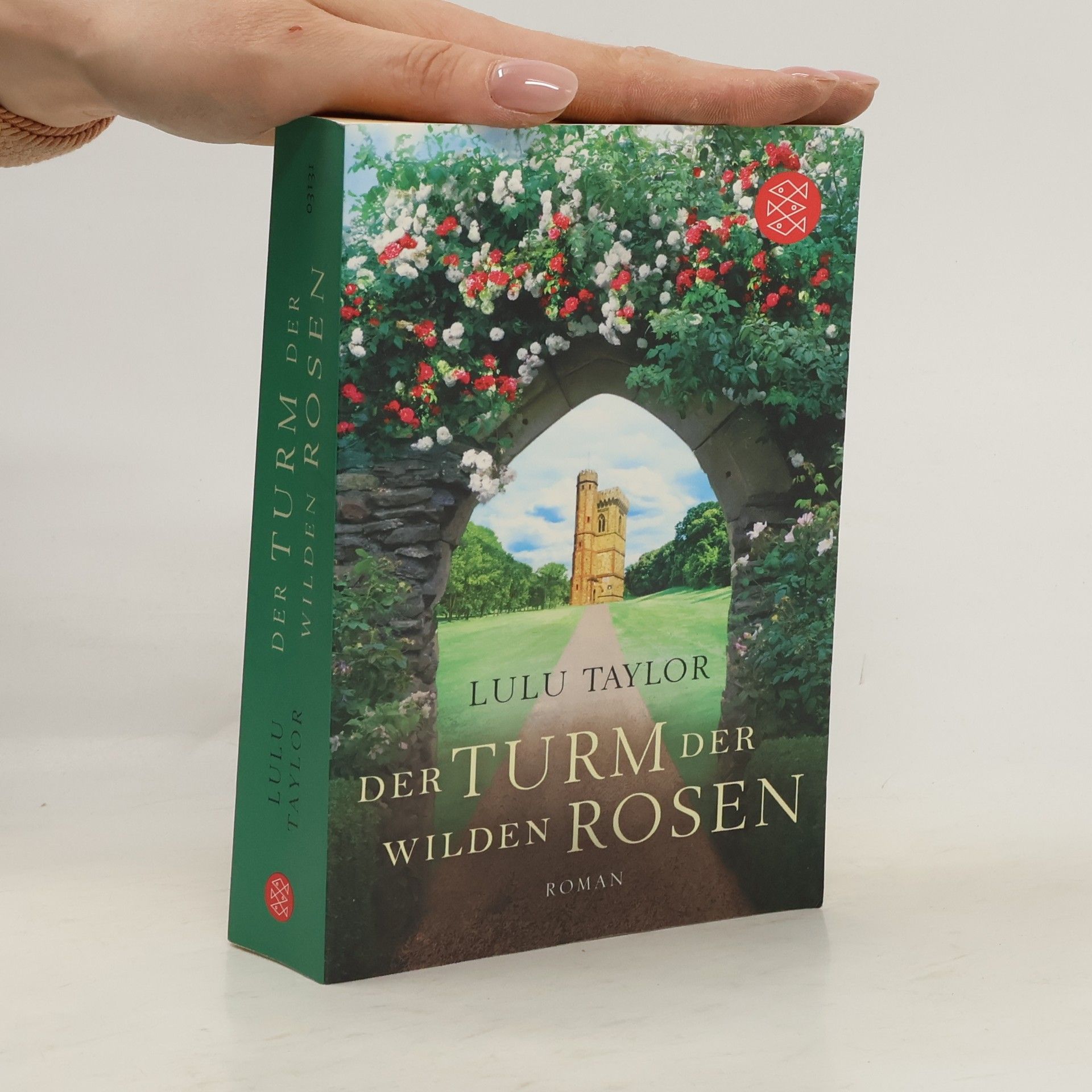 Lulu Taylor Der Turm der wilden Rosen