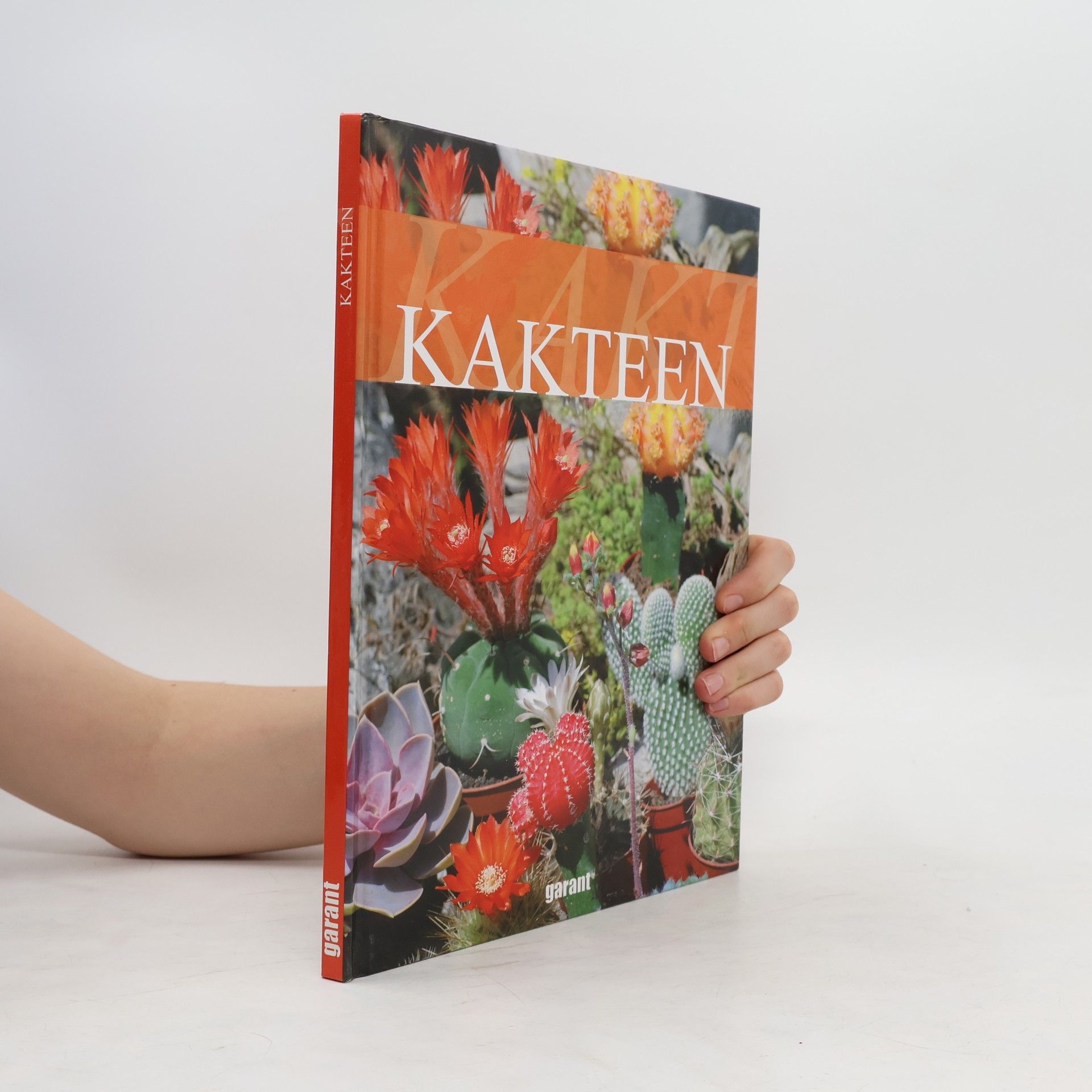 kolektiv Kakteen