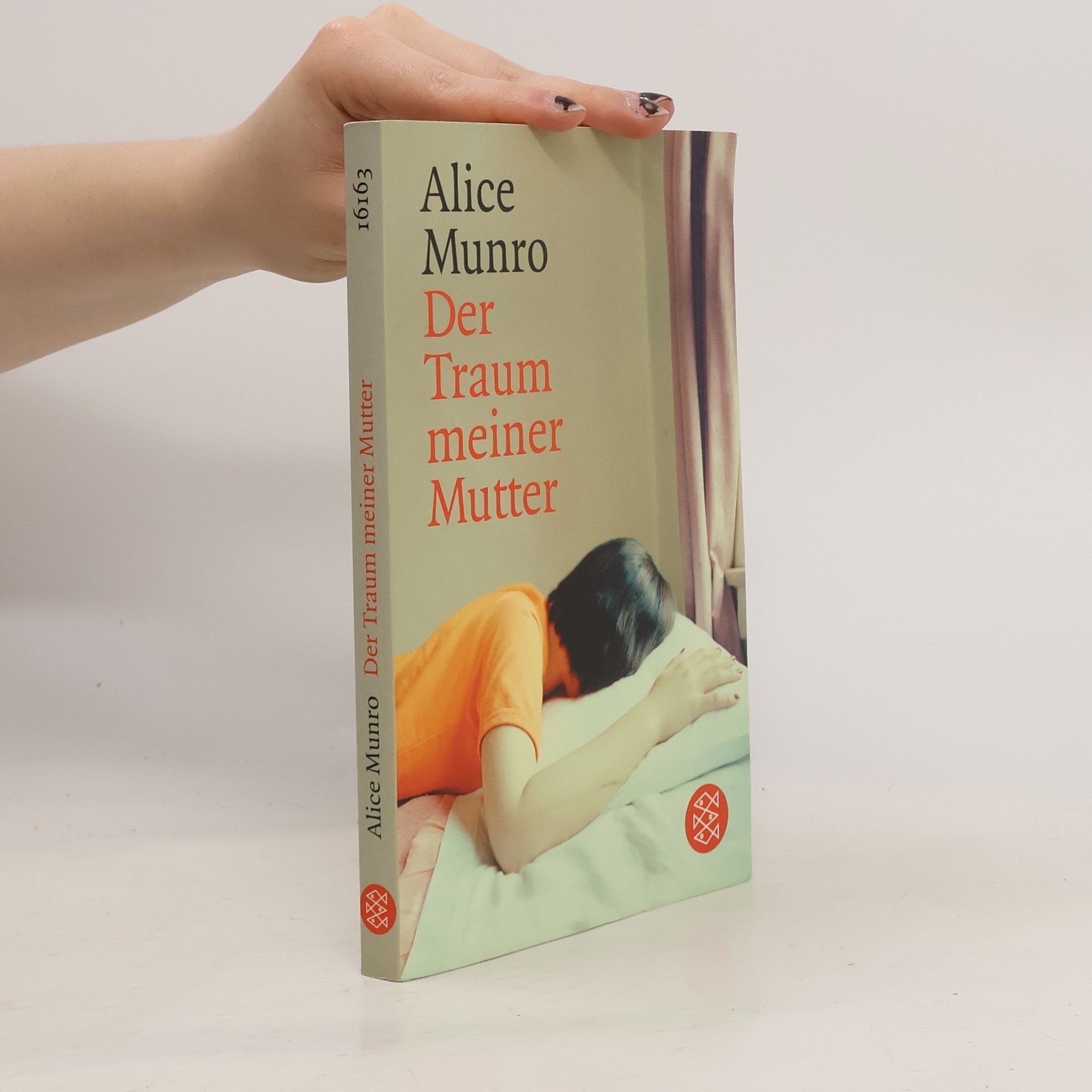 Alice Munro Der Traum meiner Mutter