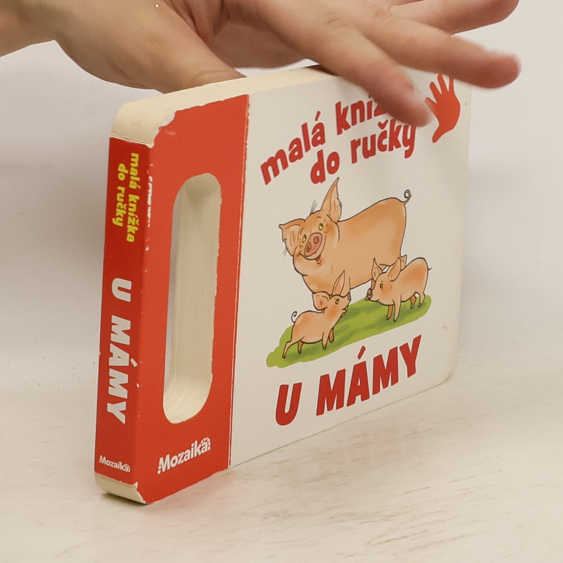 kolektiv Malá knížka do ručky