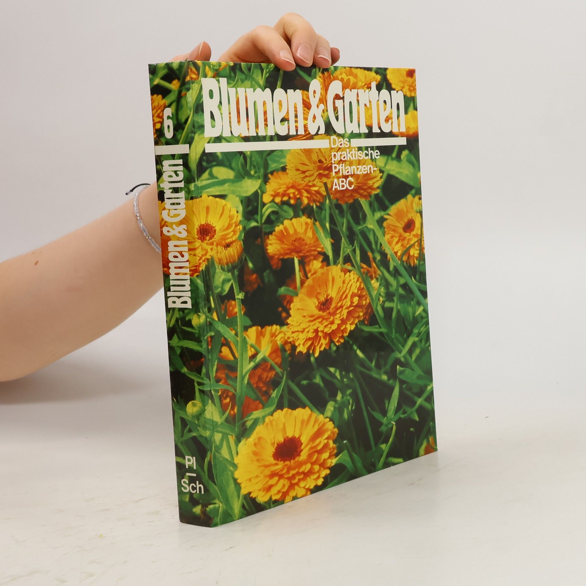 Autorenkollektiv Blumen & Garten 6