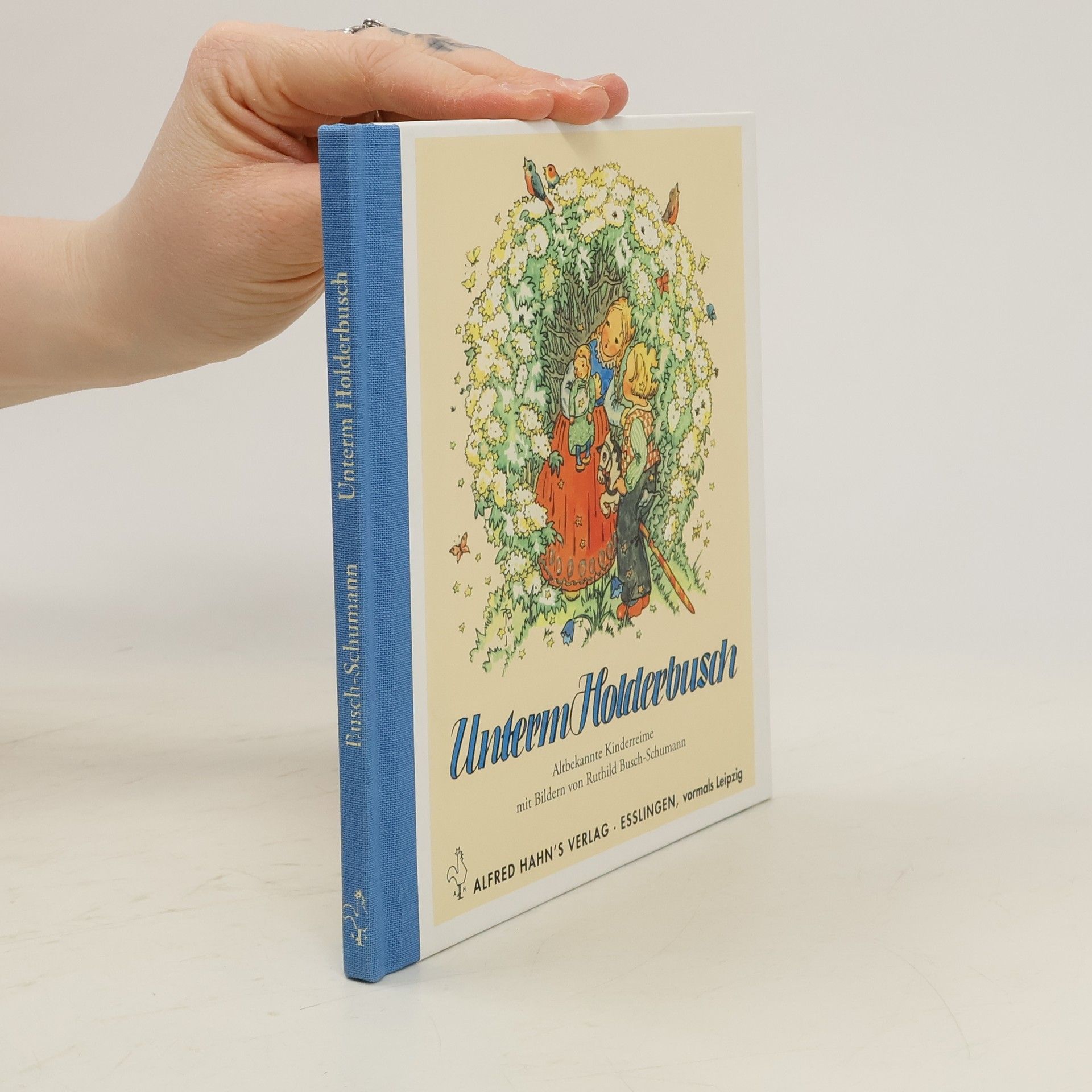 Ruthild Busch-Schumann Unterm Holderbusch