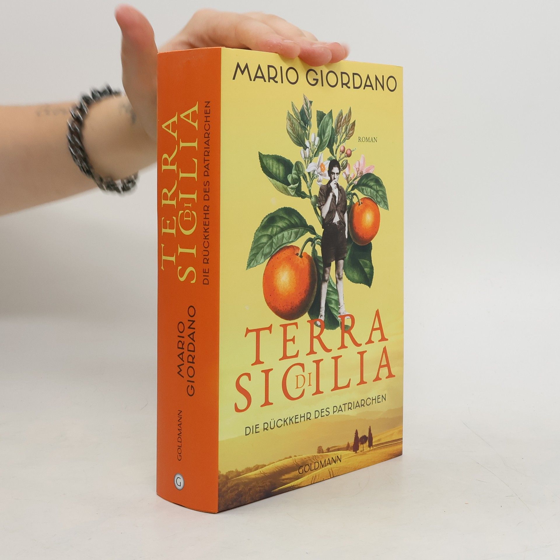 Mario Giordano Terra di Sicilia - die Rückkehr des Patriarchen