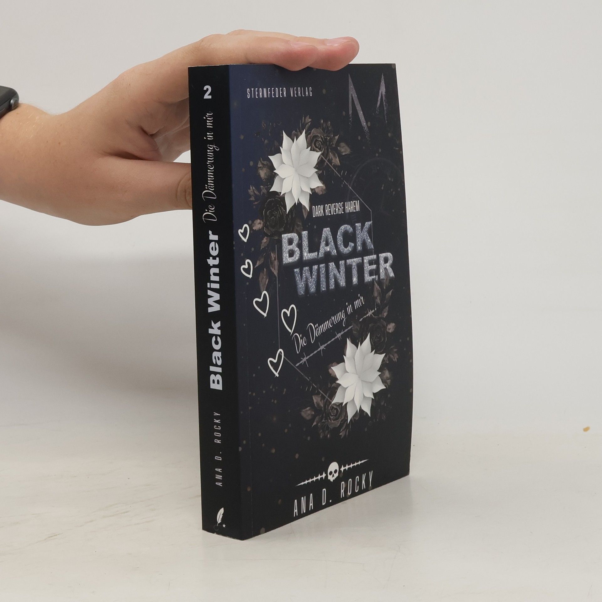 Ana D. Rocky Black Winter. Die Dämmerung in mir