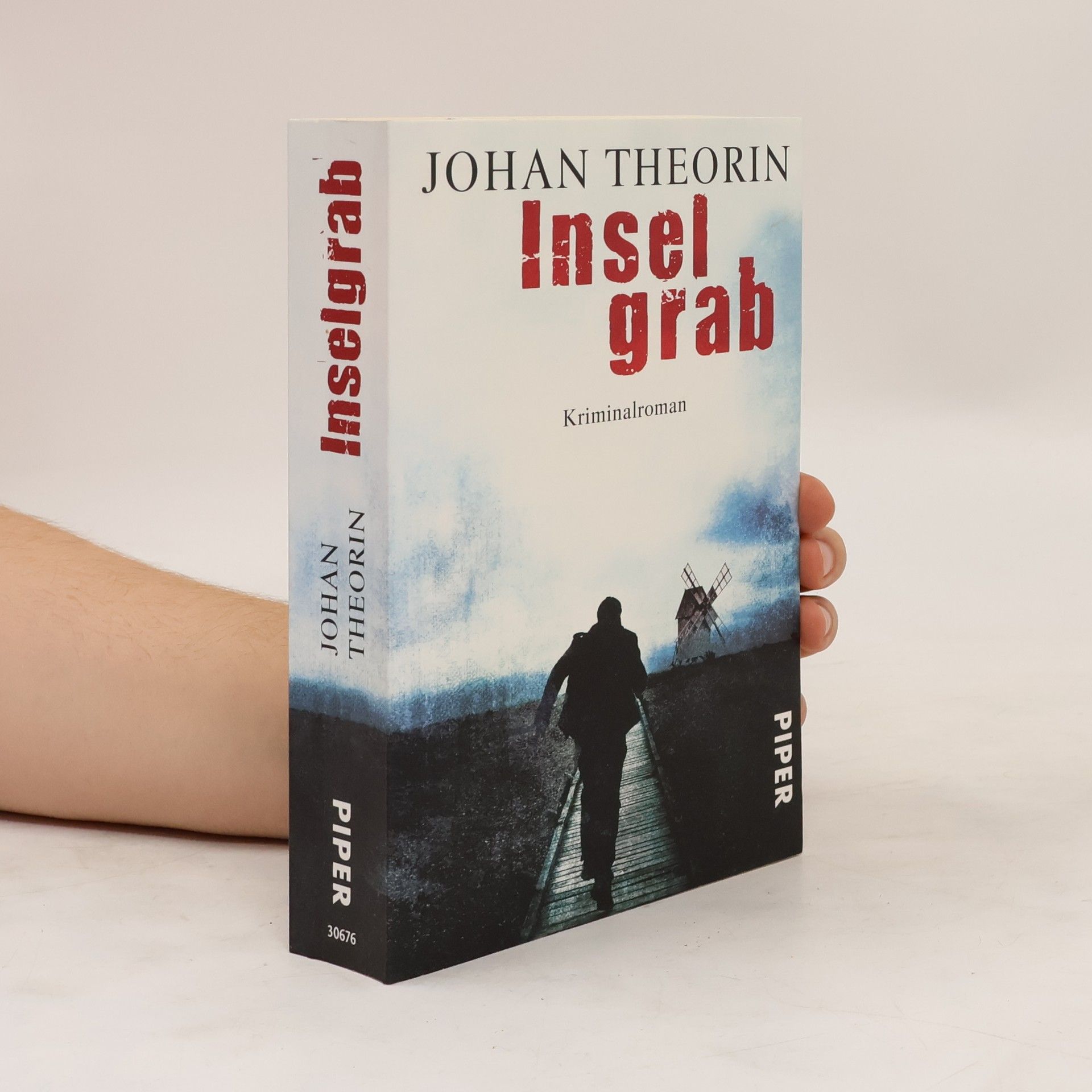 Johan Theorin Inselgrab