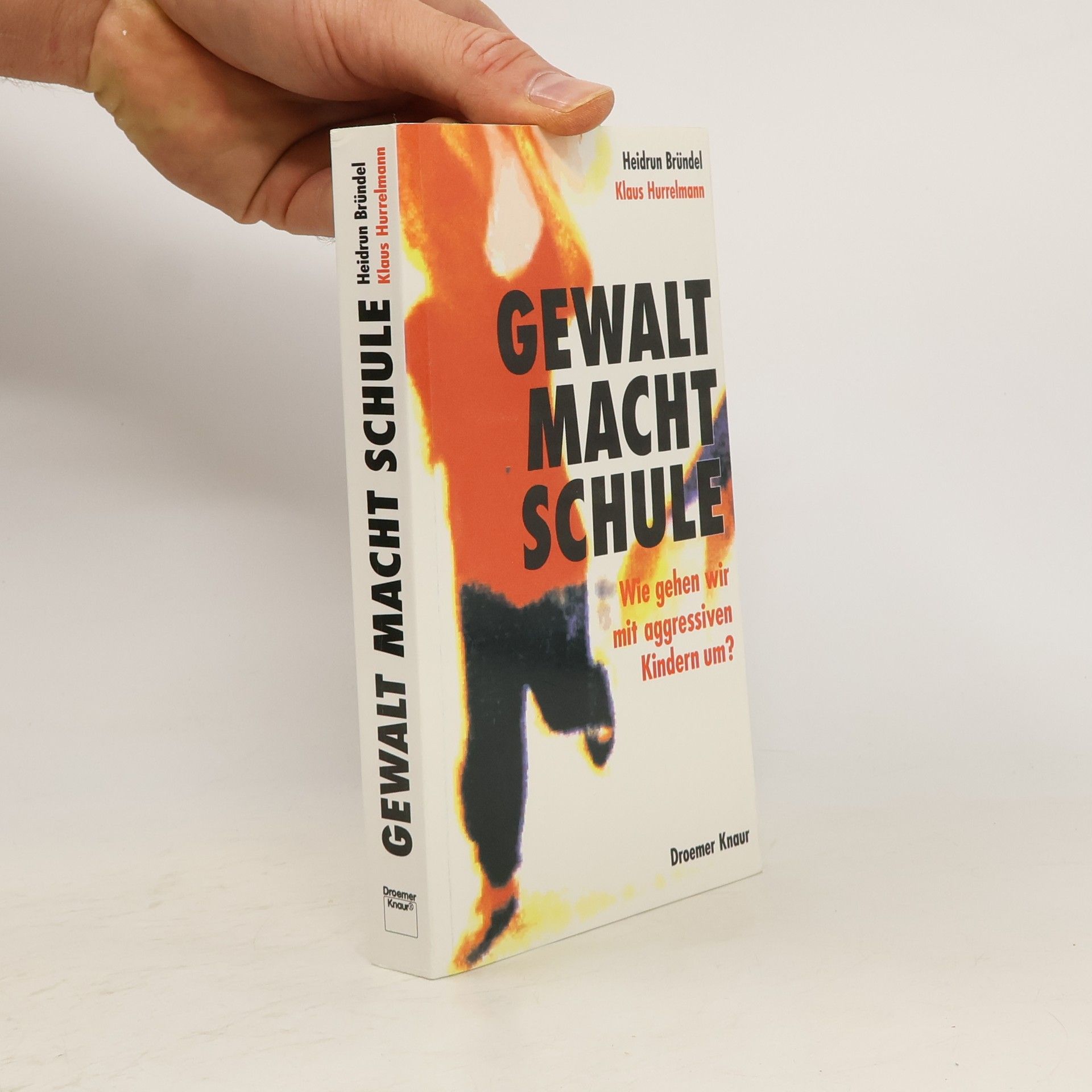 Heidrun Bründel Gewalt macht Schule
