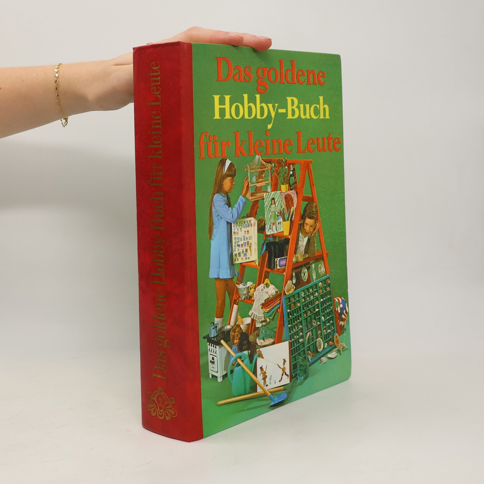 Roger Seitz Das goldene Hobby-Buch für kleine Leute