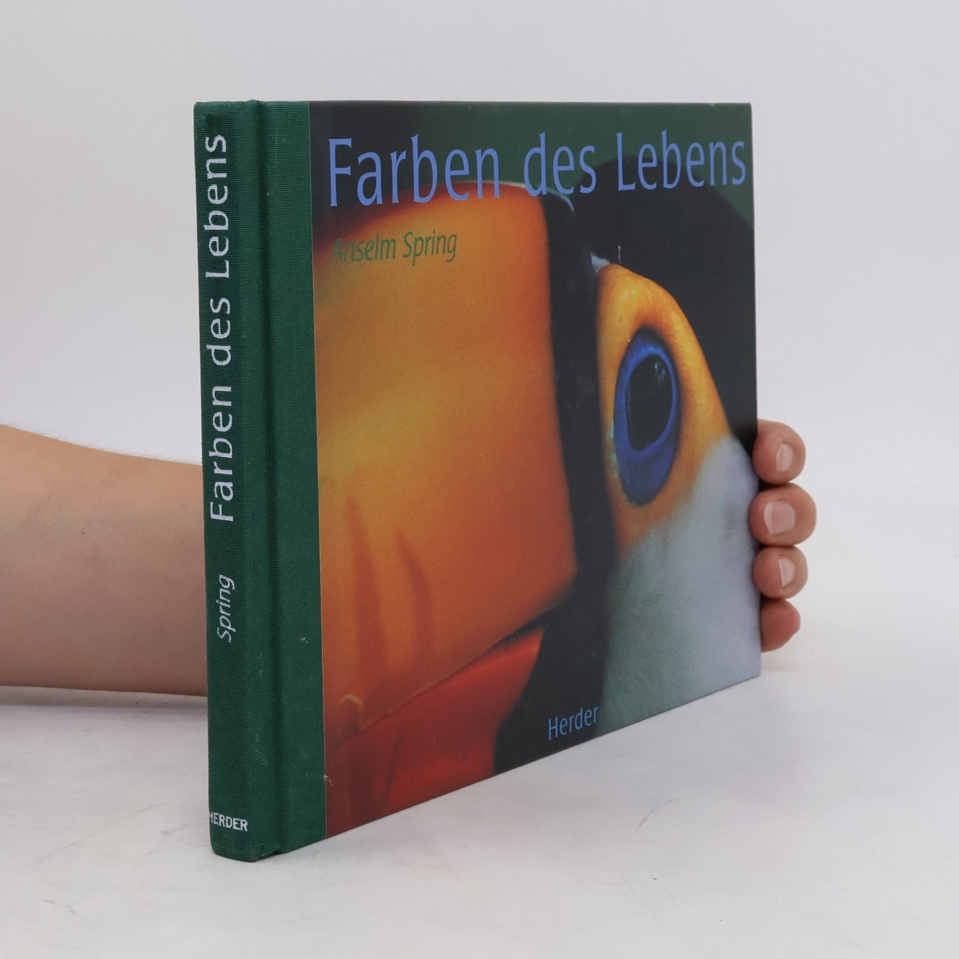 Anselm Spring Farben des Lebens