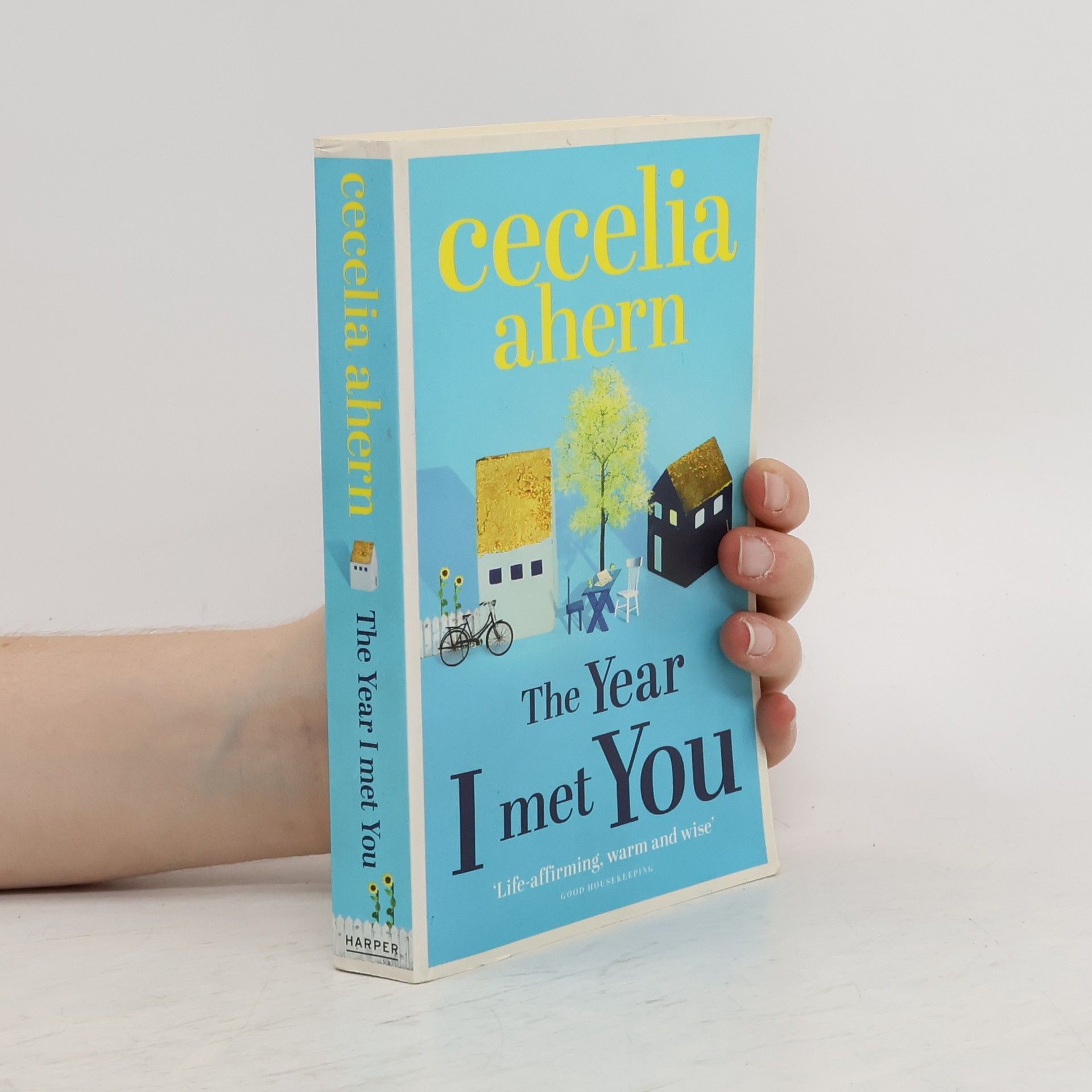 Cecelia Ahern The year I met you