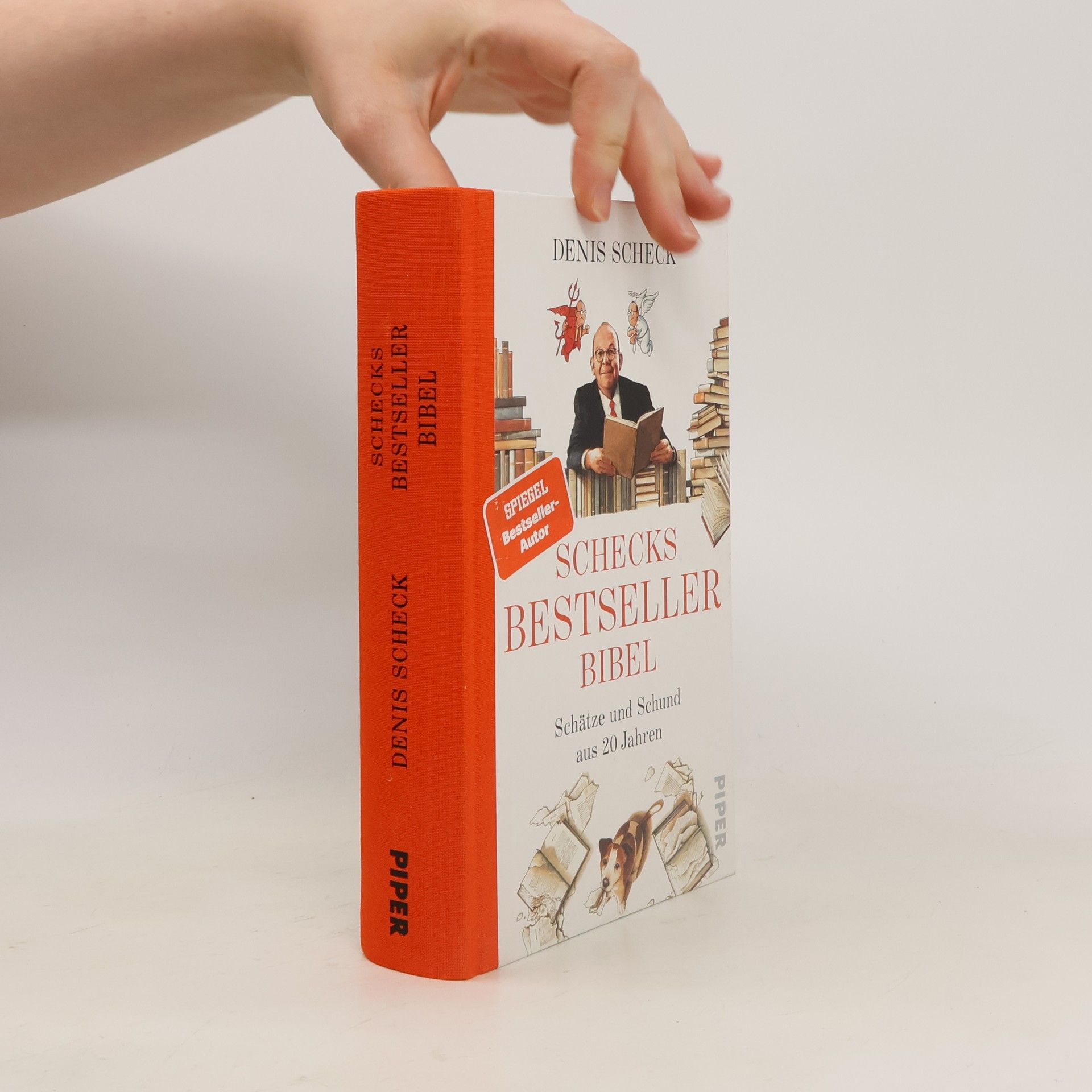 Denis Scheck Schecks Bestsellerbibel. Schätze und Schund aus 20 Jahren