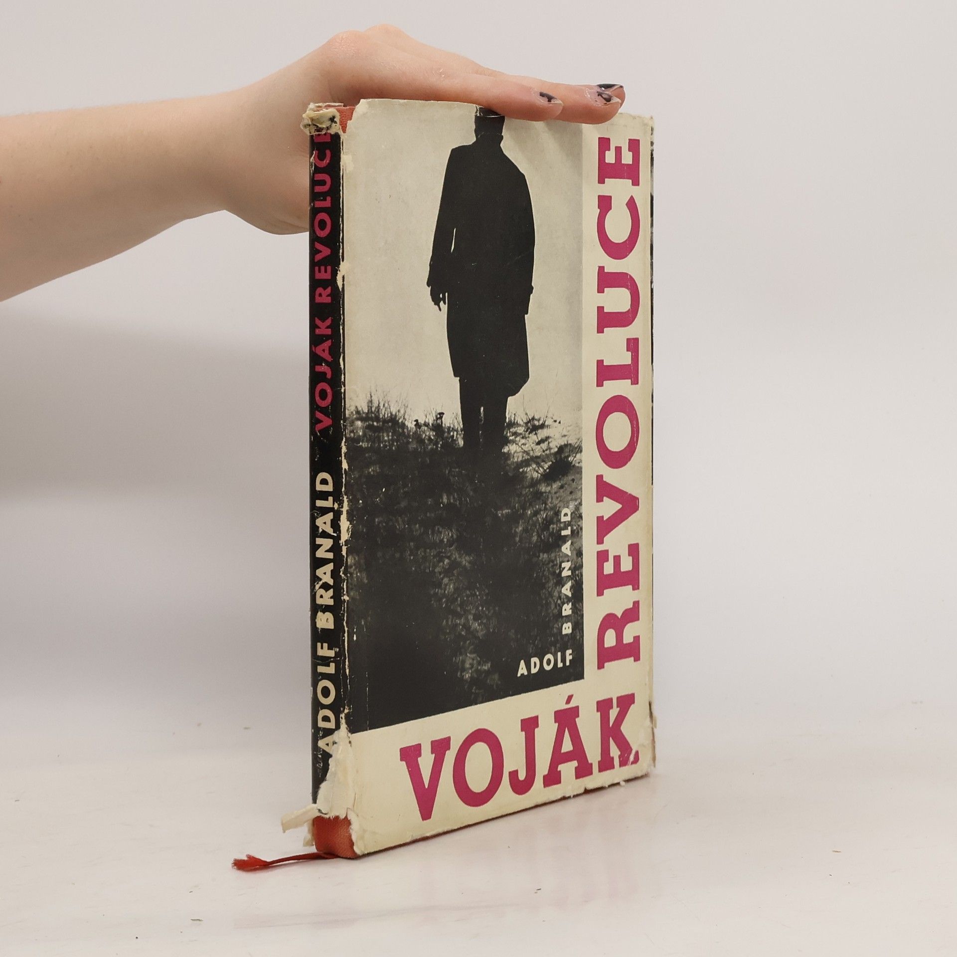 Adolf Branald Voják revoluce