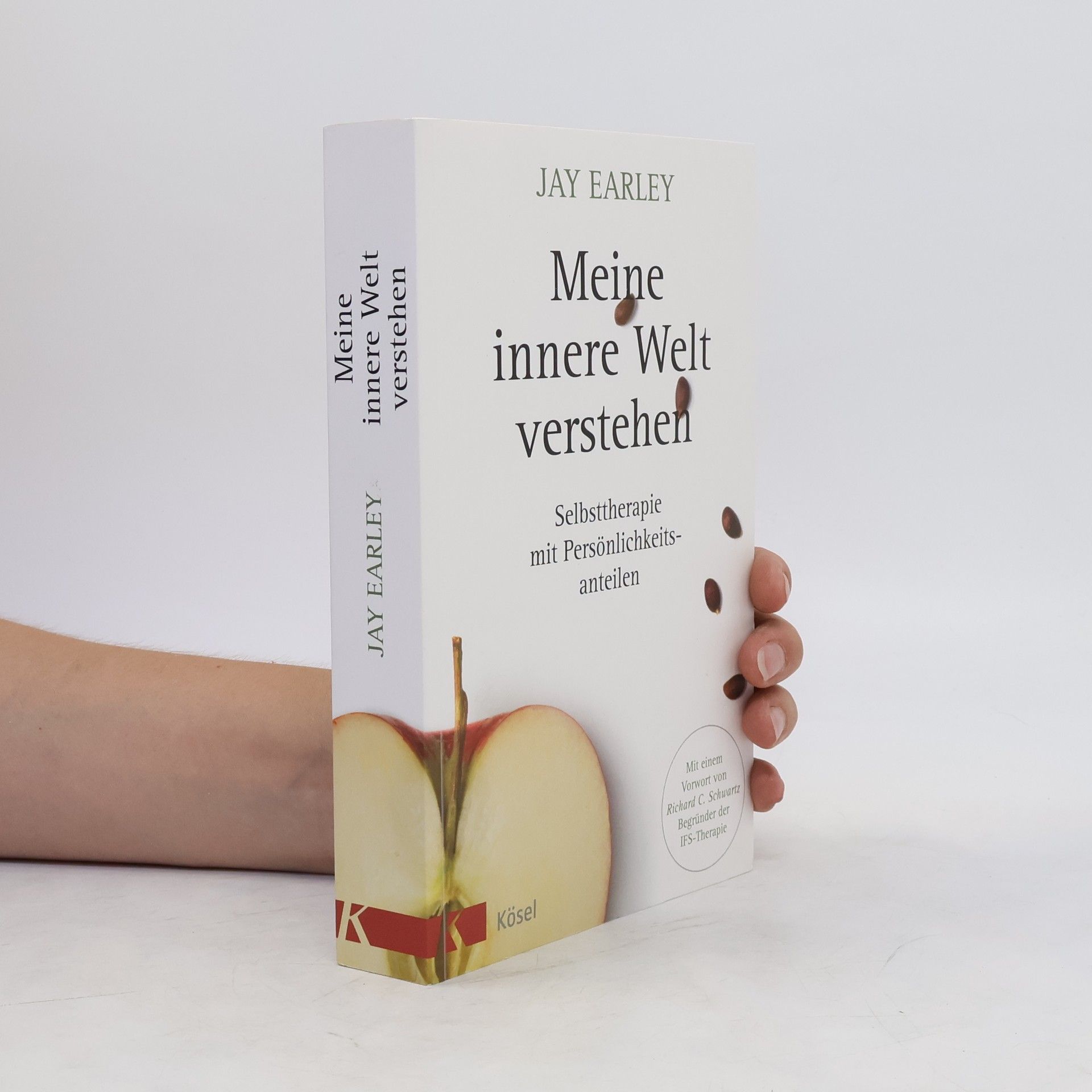 Jay Earley Meine innere Welt verstehen