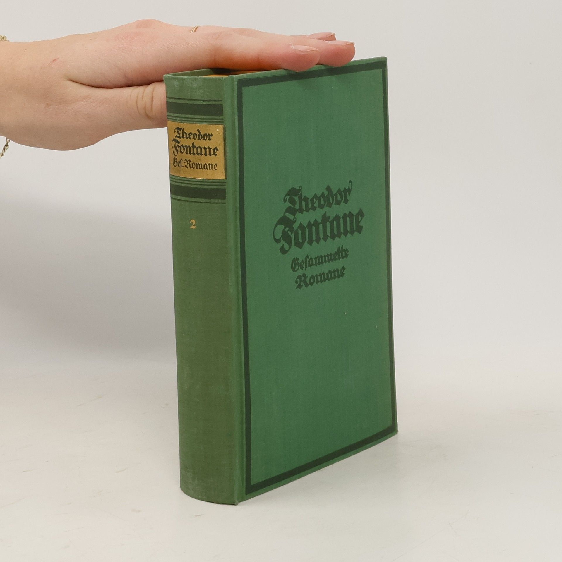 Theodor Fontane Gesammelte Romane 2