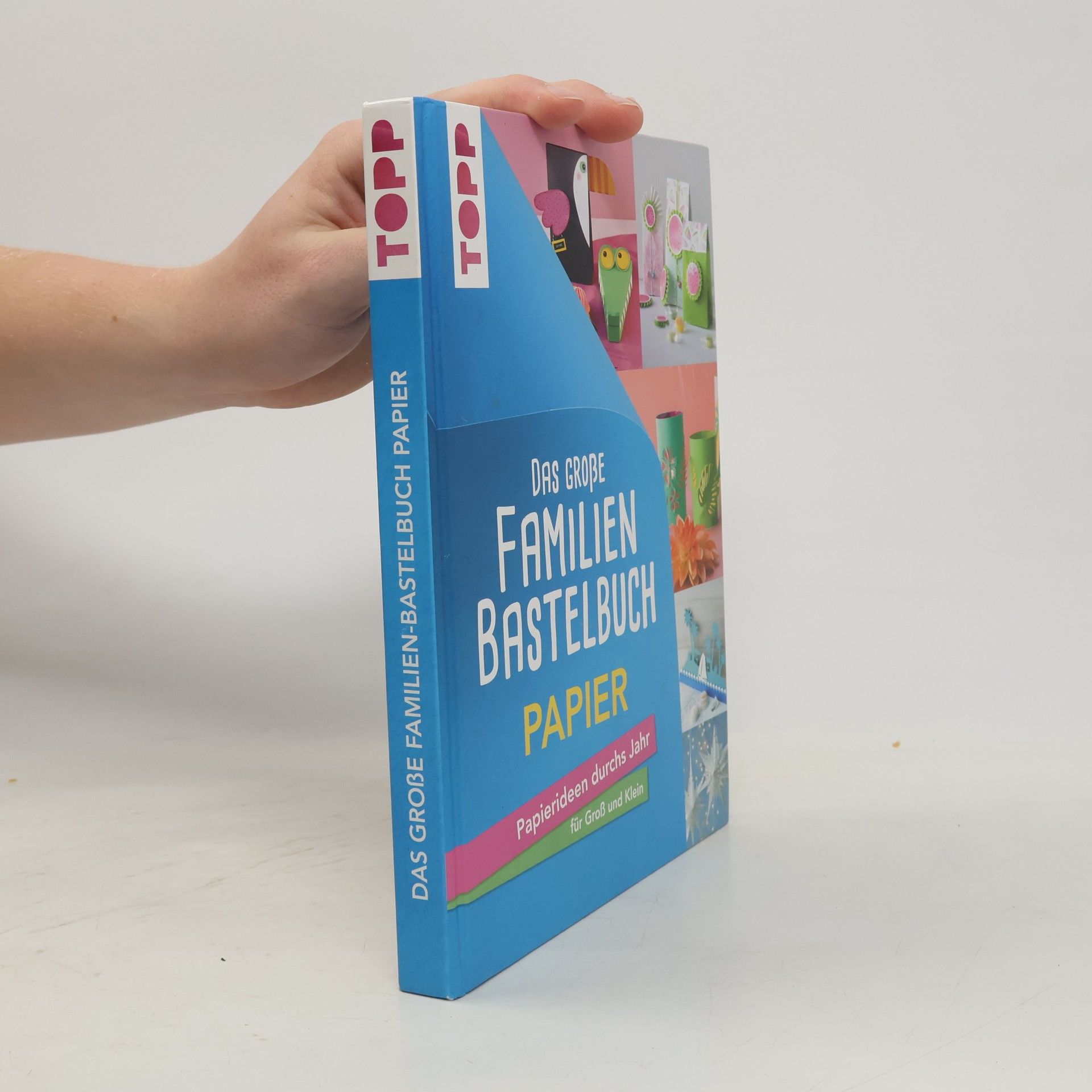 Frechverlag Das große Familienbastelbuch Papier