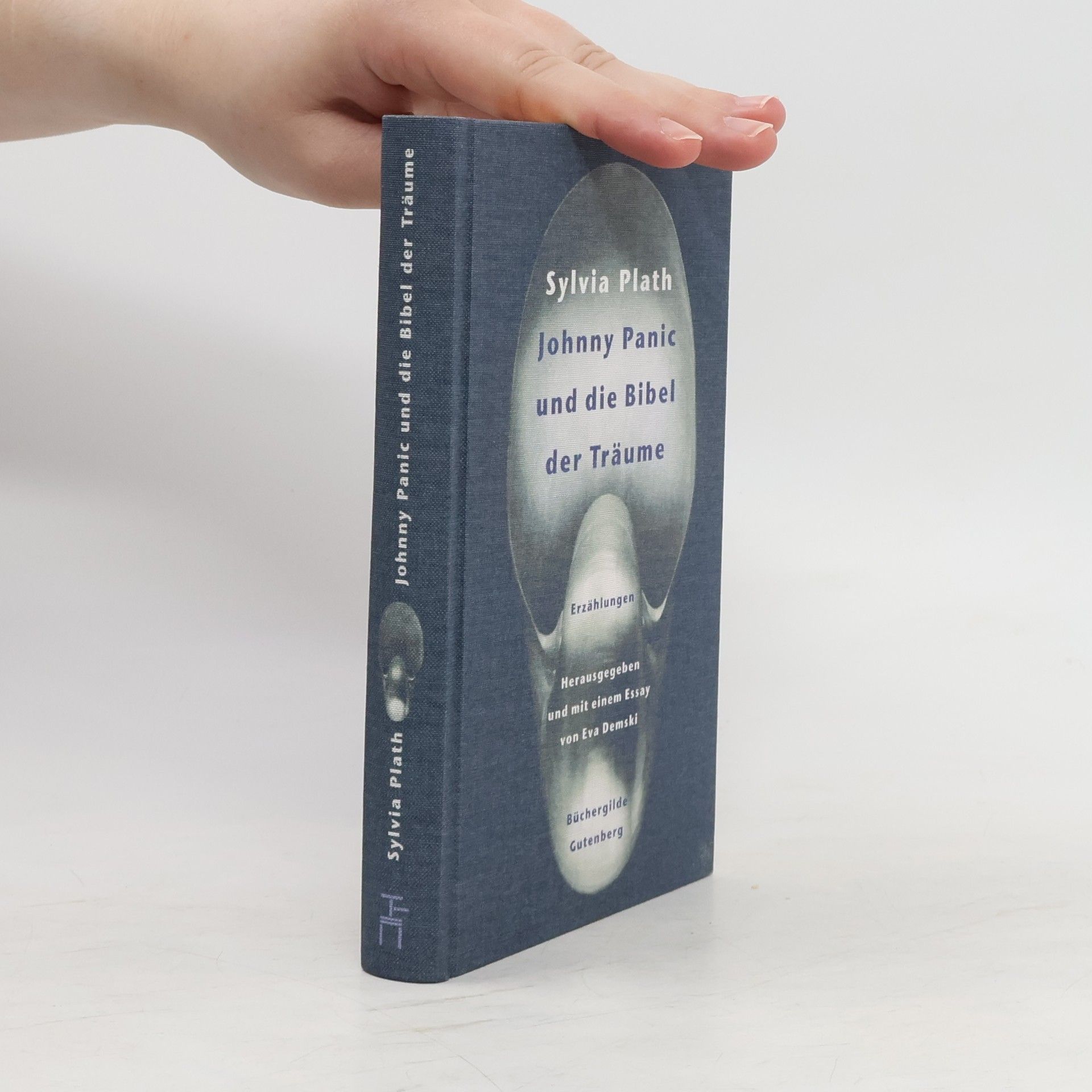 Sylvia Plath Johnny Panic und die Bibel der Träume
