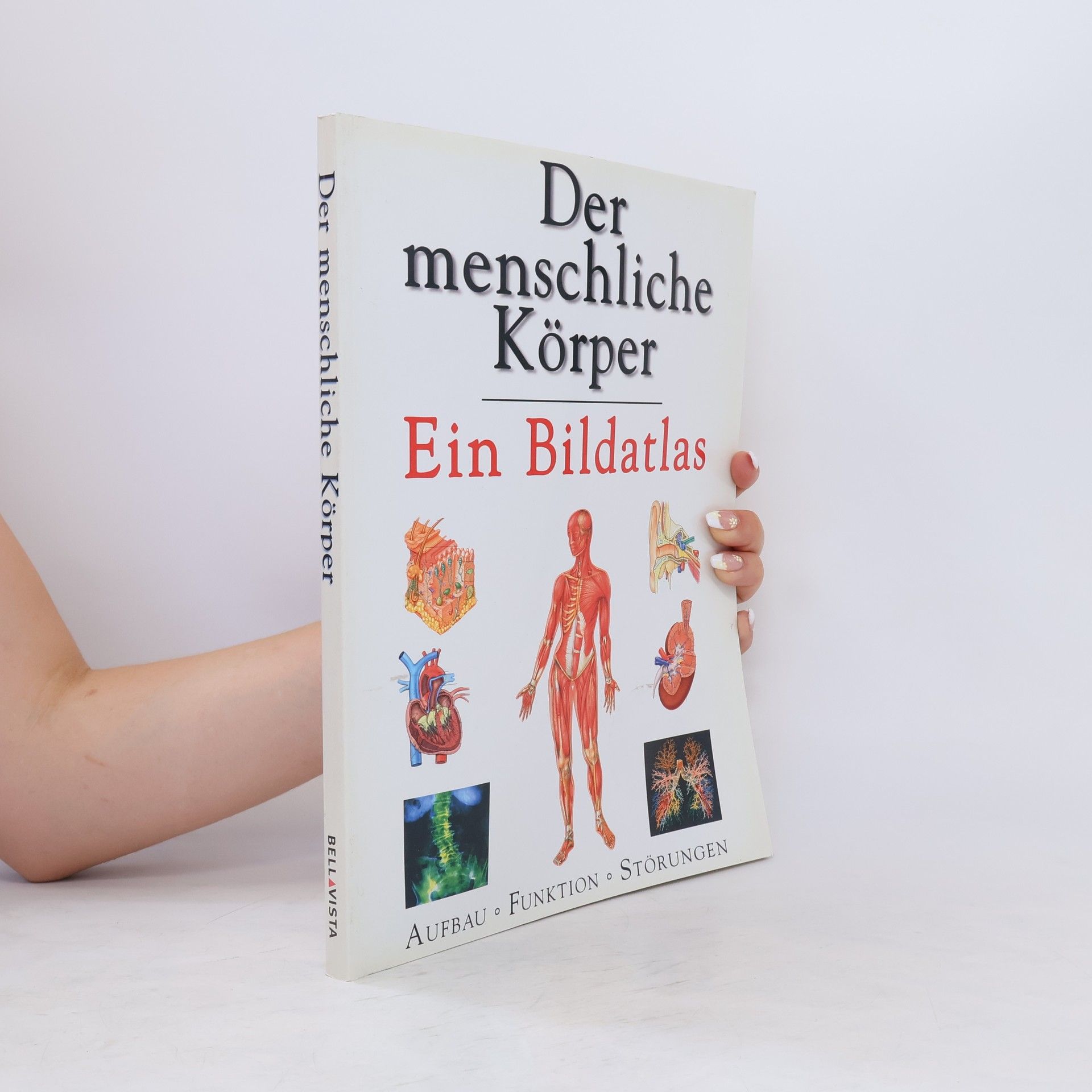 kolektiv Der menschliche Körper