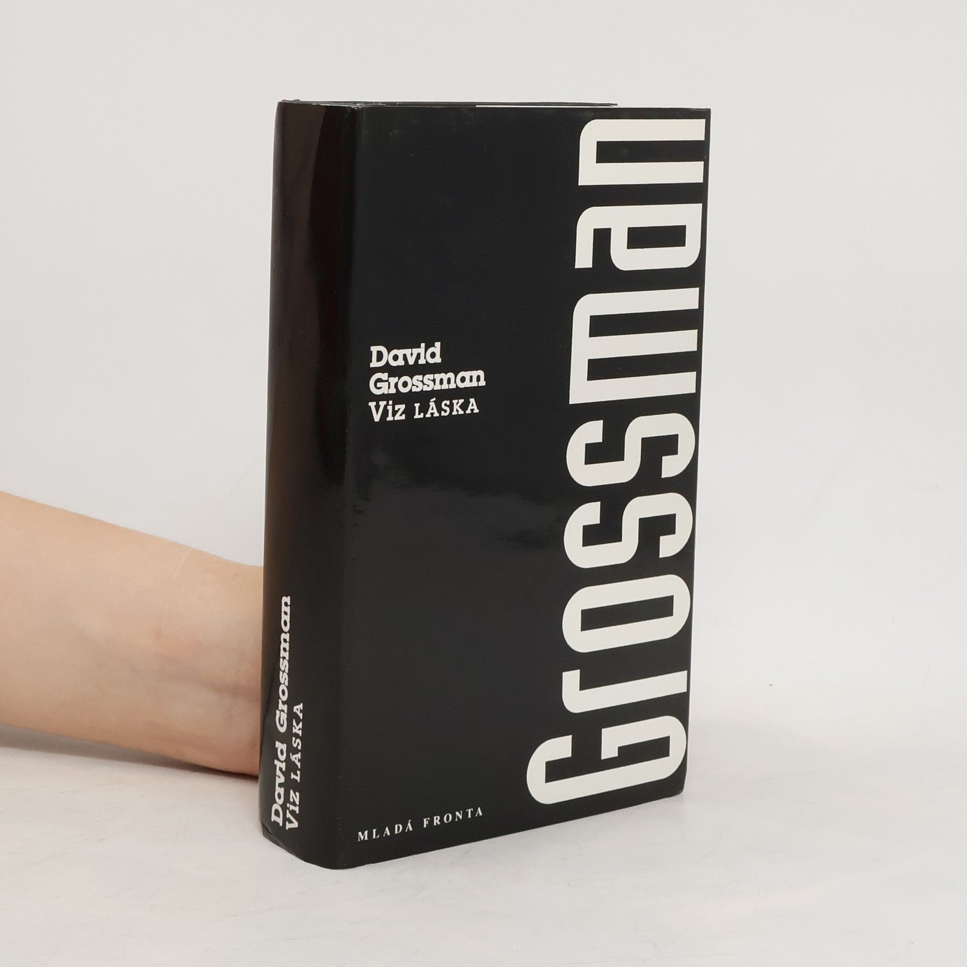 David Grossman Viz LÁSKA