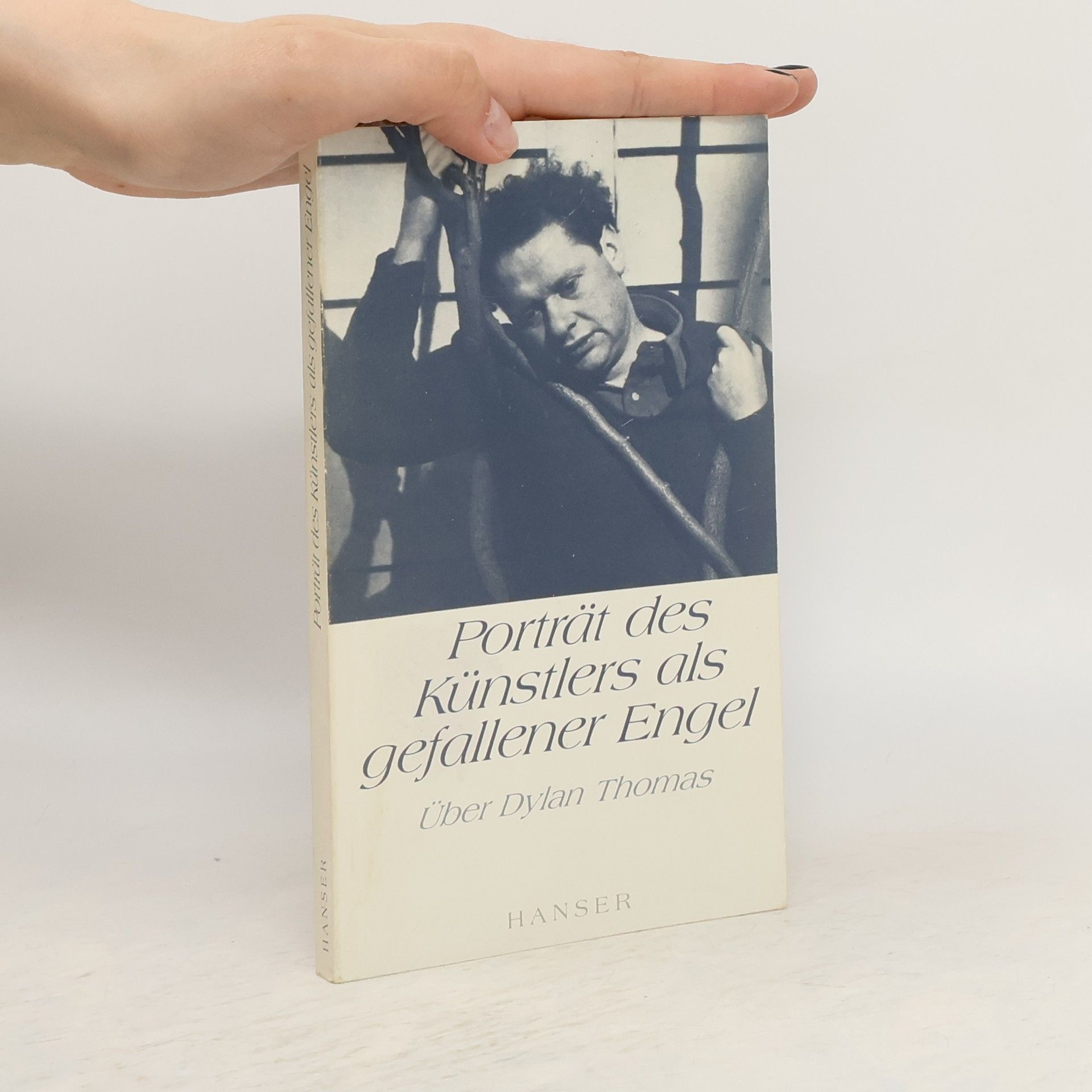 Collectif d'auteurs Porträt des Künstlers als gefallener Engel