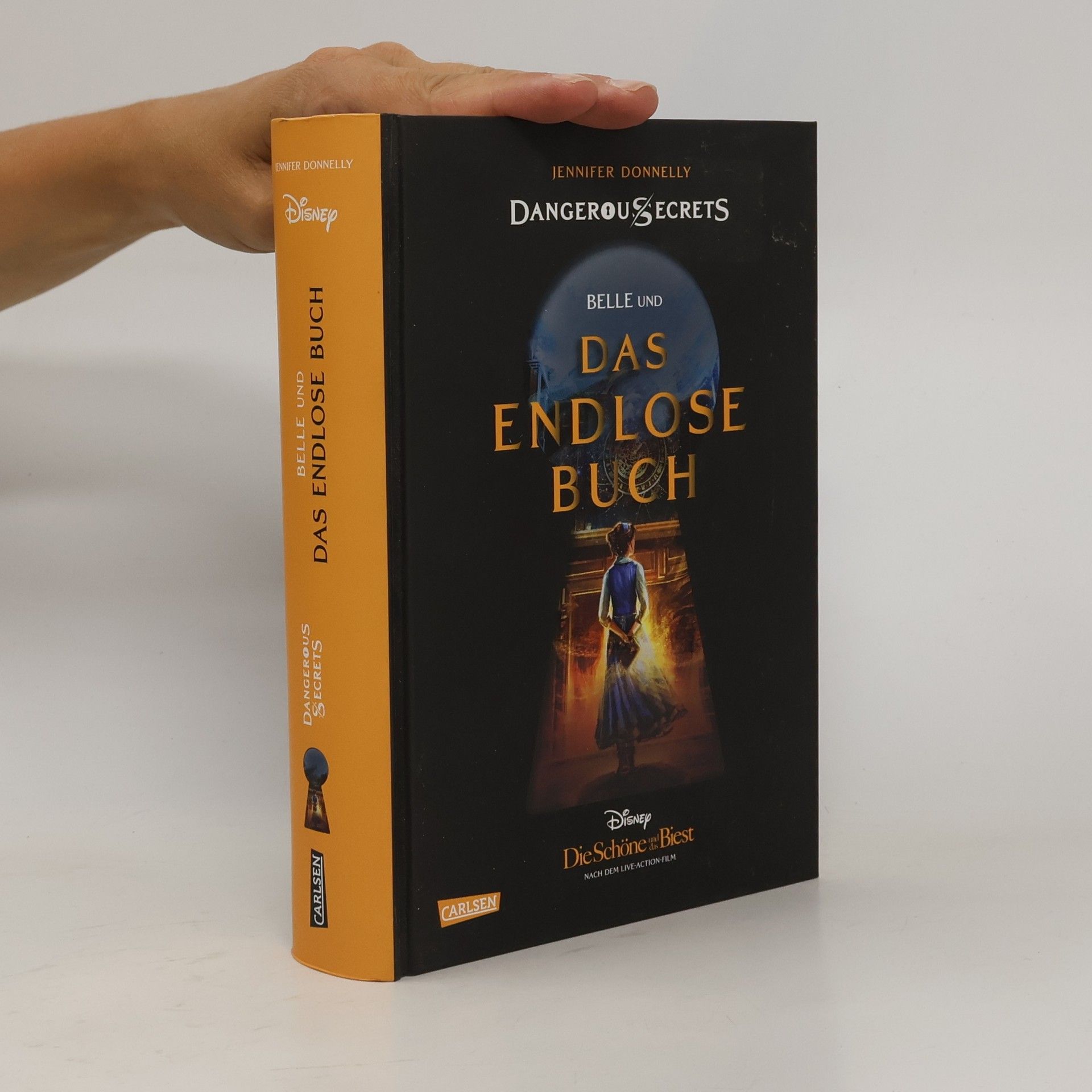 Jennifer Donnelly Das endlose Buch