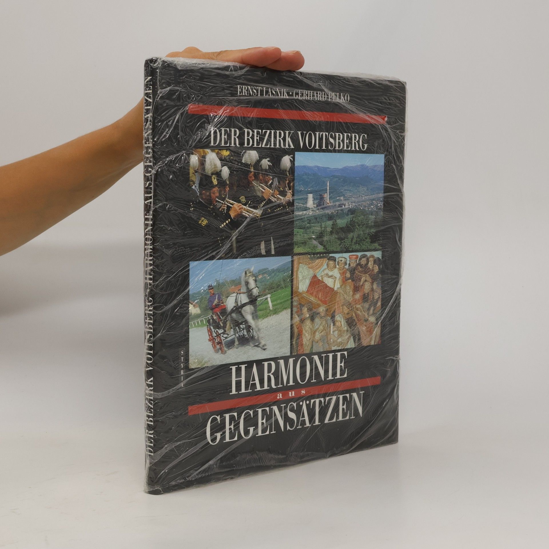 Ernst Lasnik Harmonie aus Gegensätzen