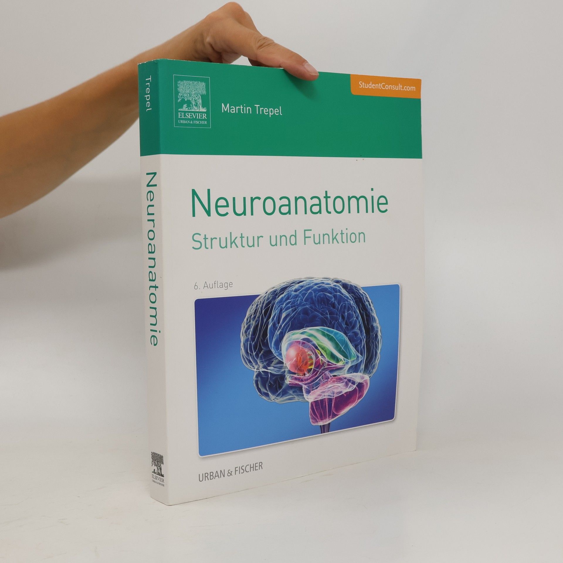 Martin Trepel Neuroanatomie