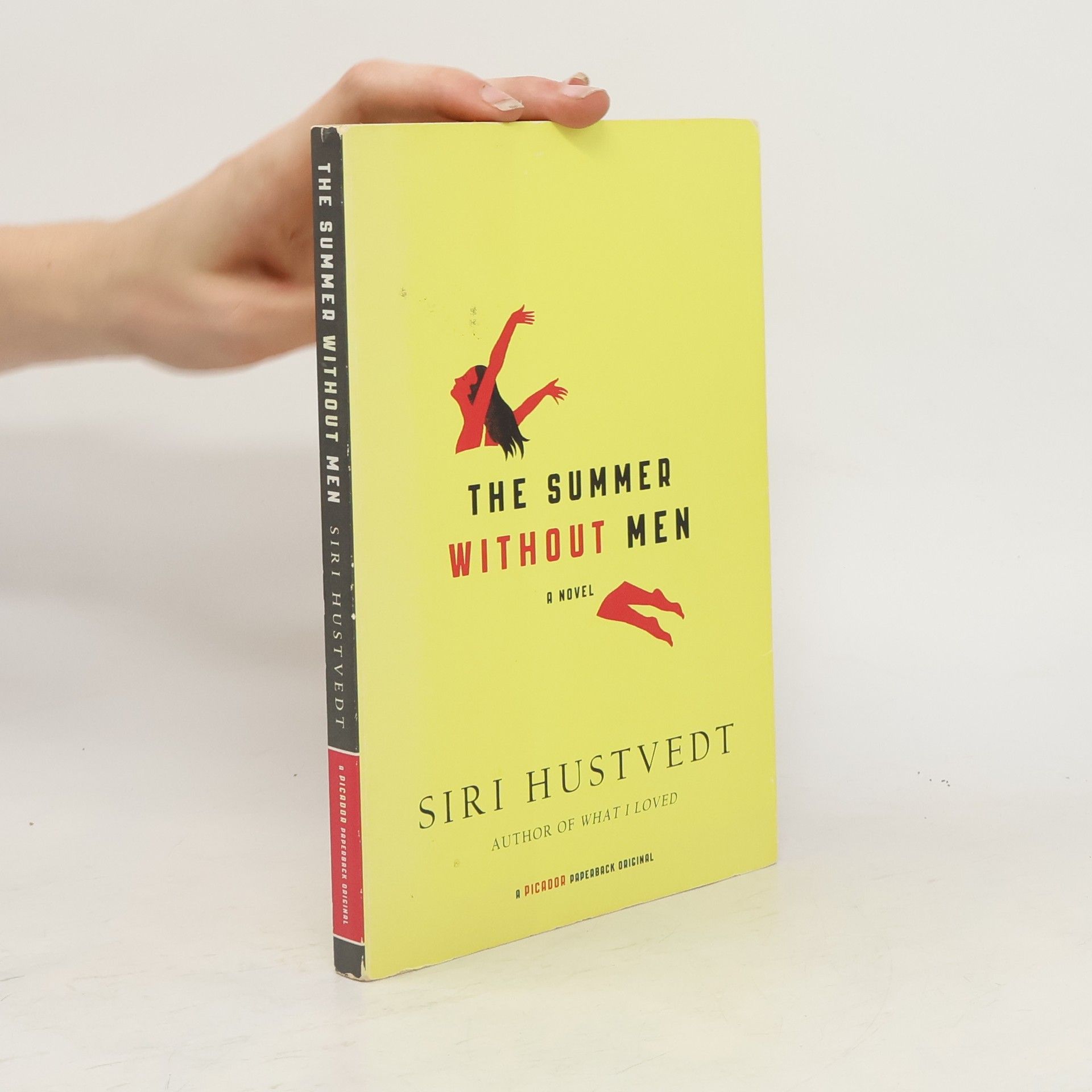 Siri Hustvedt The Summer Without Men
