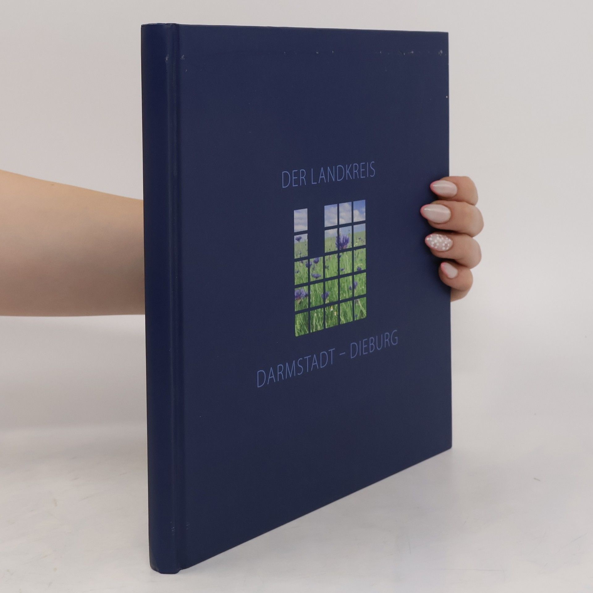 AA.VV. Der Landkreis Darmstadt-Dieburg