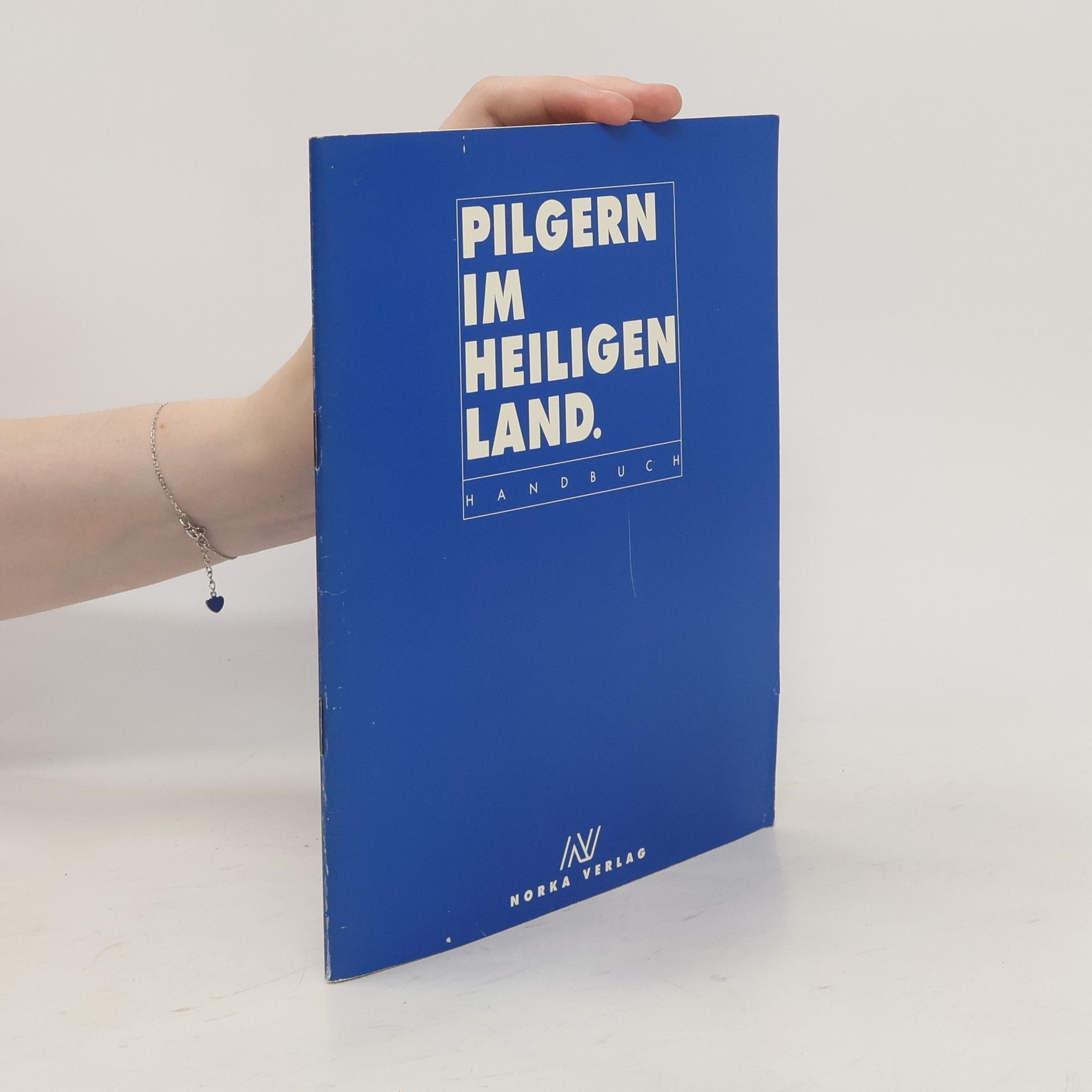 Autorenkollektiv Pilgern im Heiligen Land
