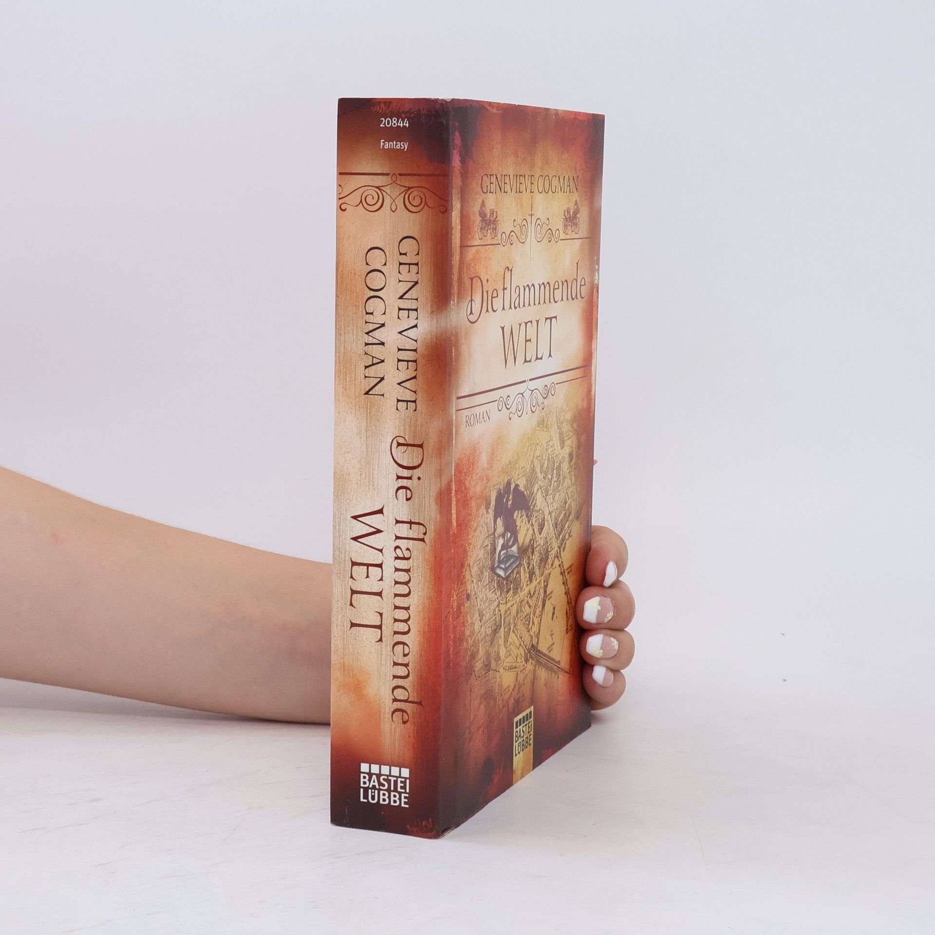Genevieve Cogman Die flammende Welt
