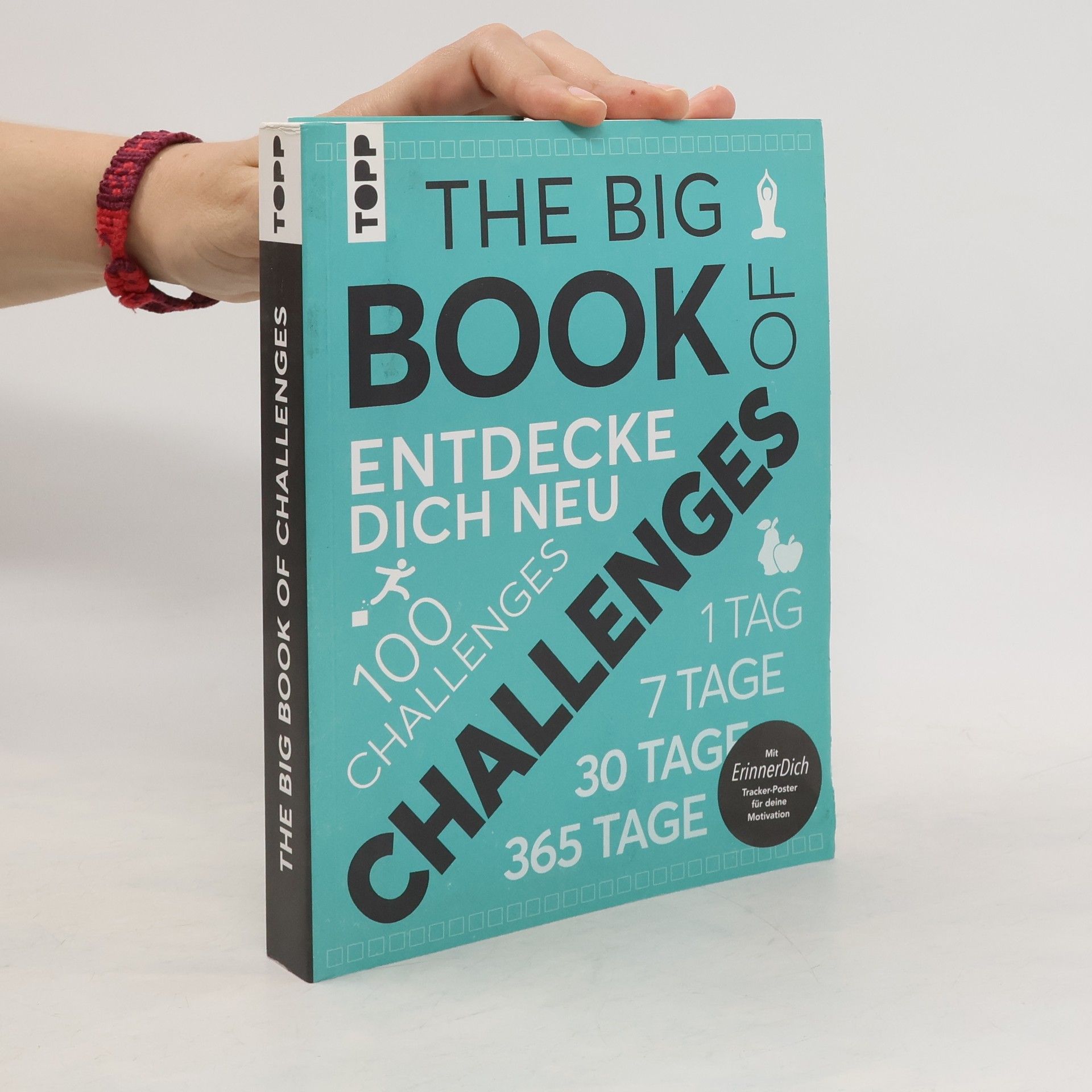 Sabine Hausmann The big book of challenges