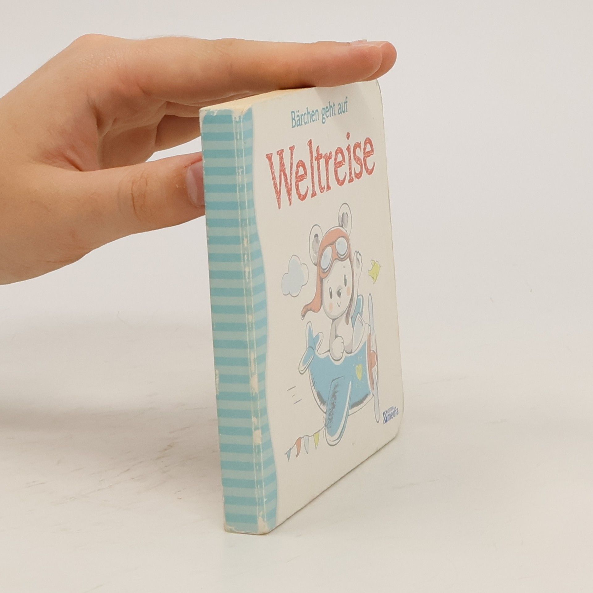 AA.VV. Bärchen geht auf Weltreise