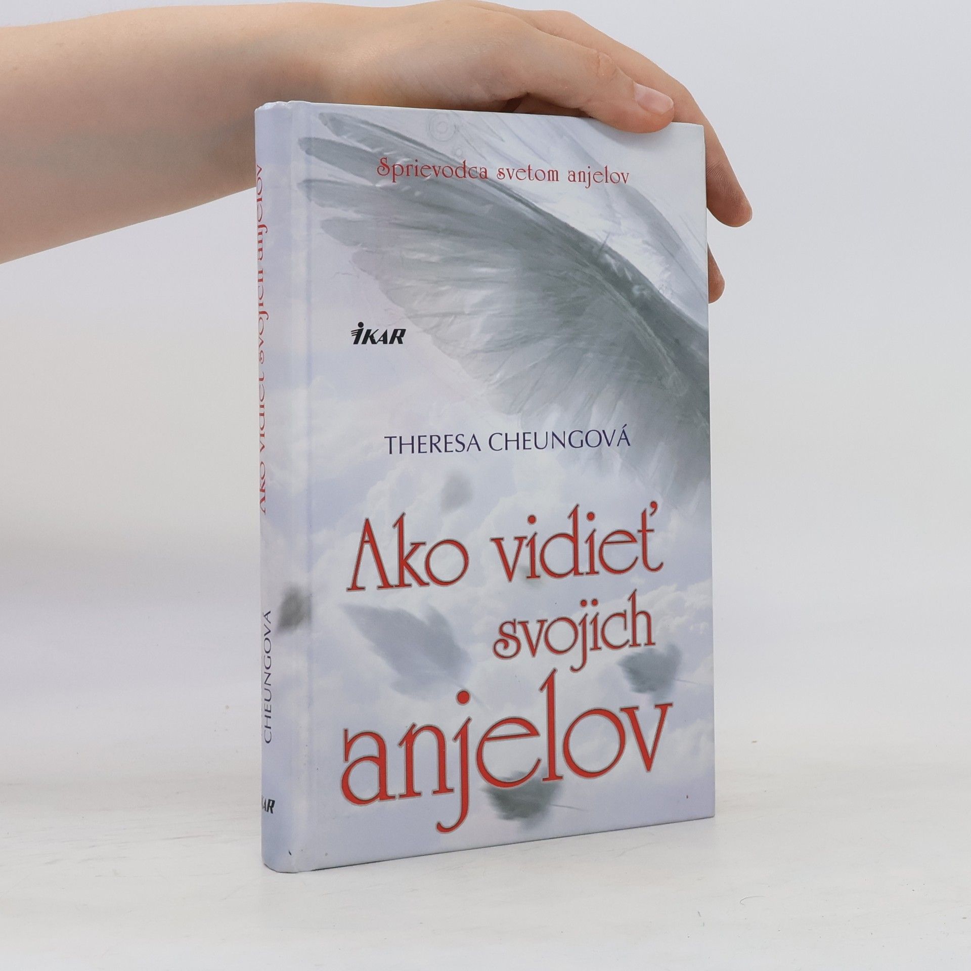 Theresa Francis-Cheung Ako vidieť svojich anjelov