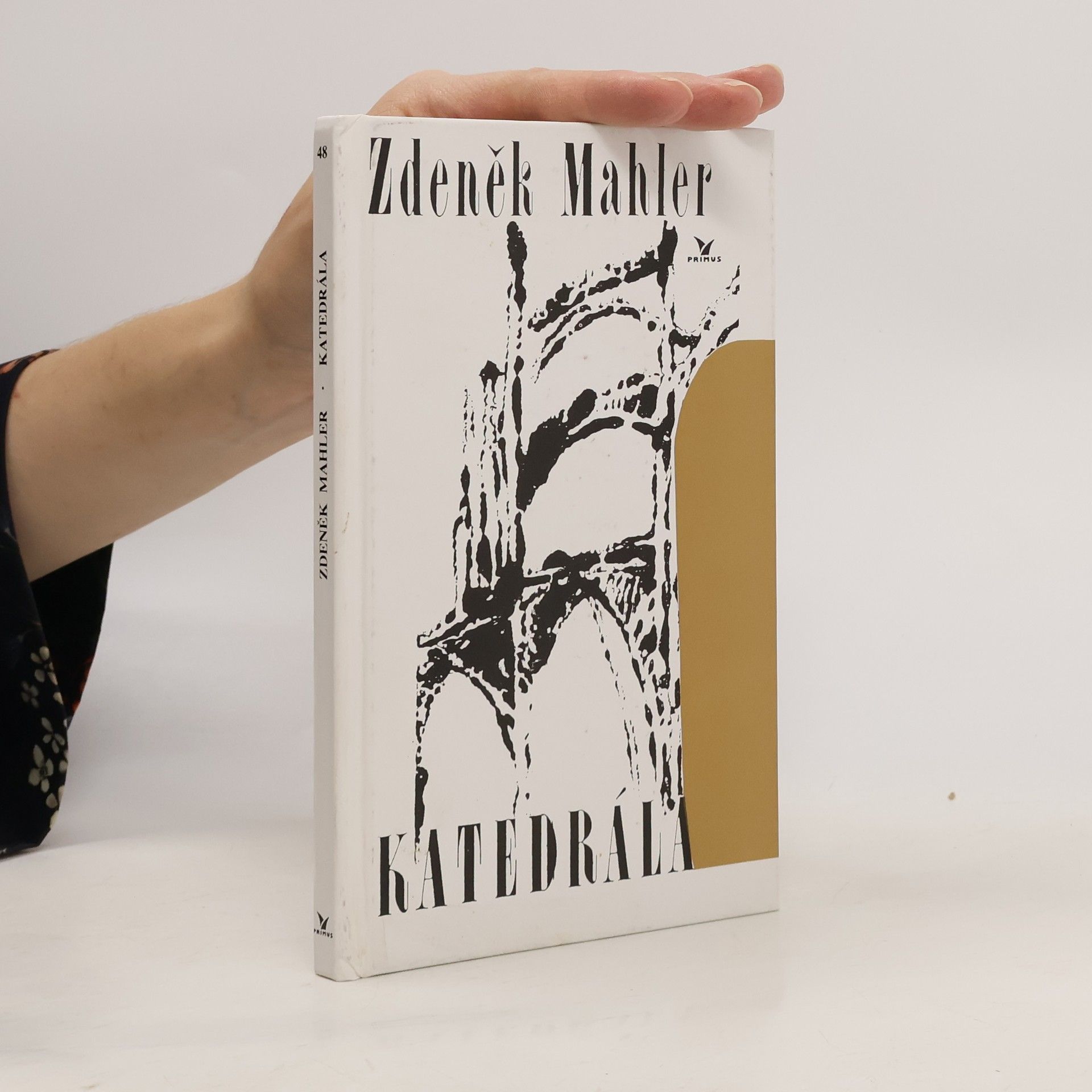 Zdeněk Mahler Katedrála