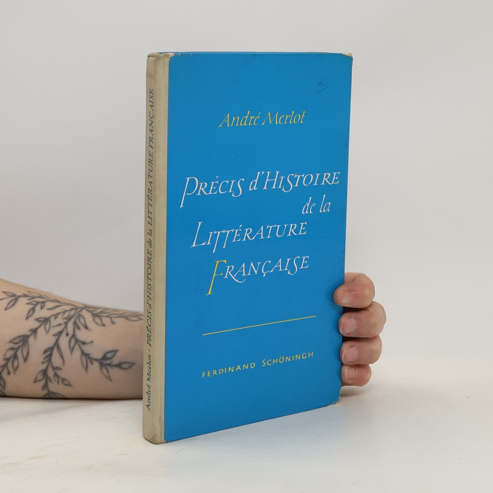 André Merlot Précis d'Histoire de la Littérature Francaise