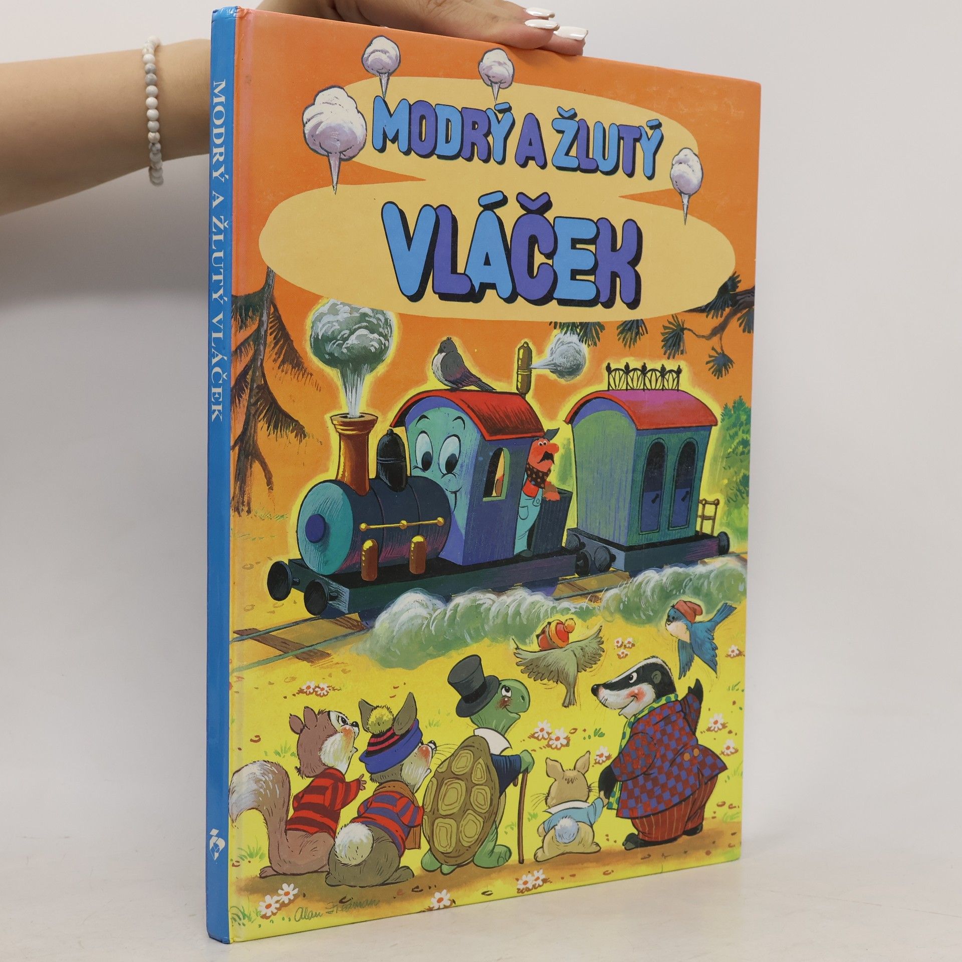 Hayden McAllister Modrý a žlutý vláček
