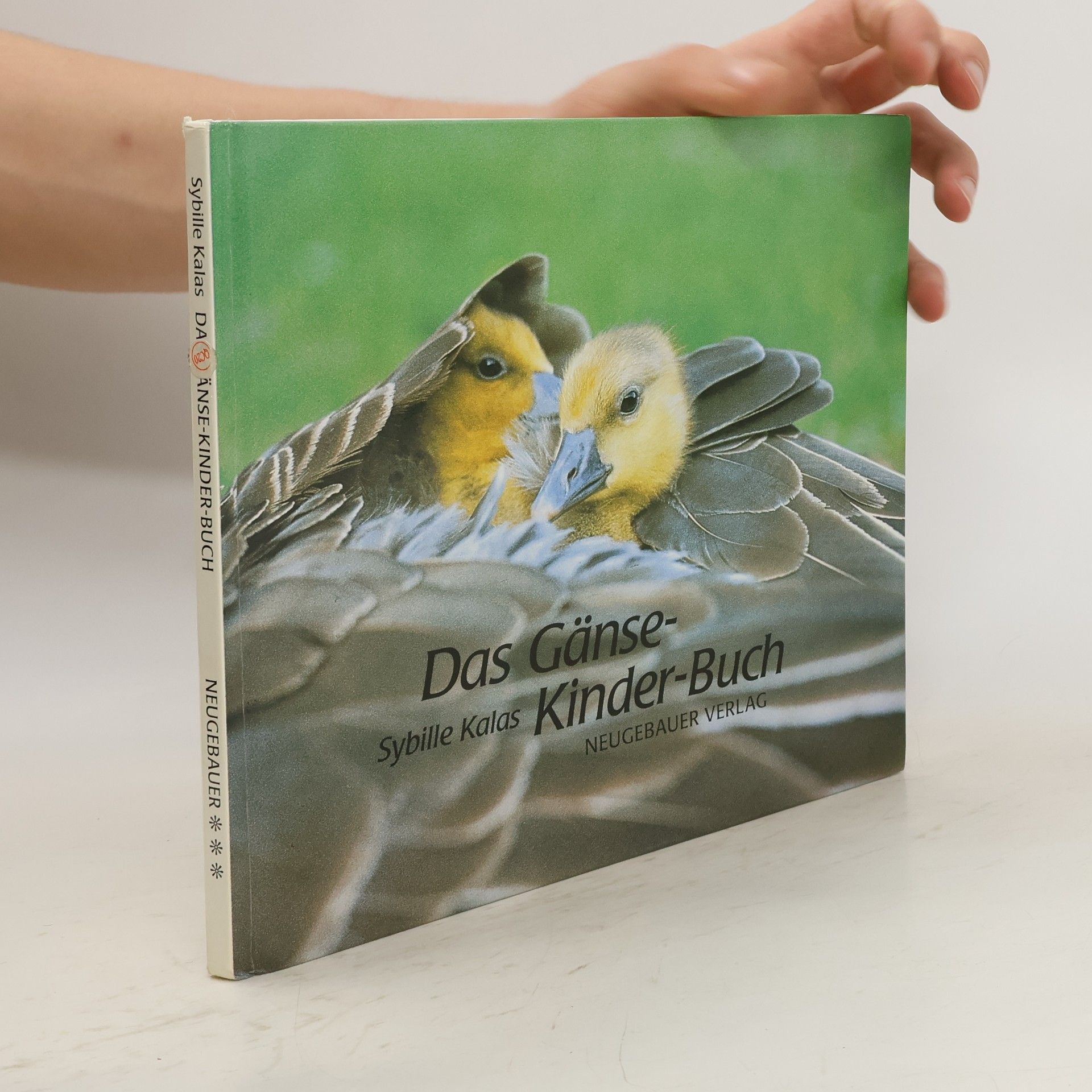 Sybille Kalas Das Gänse-Kinder-Buch