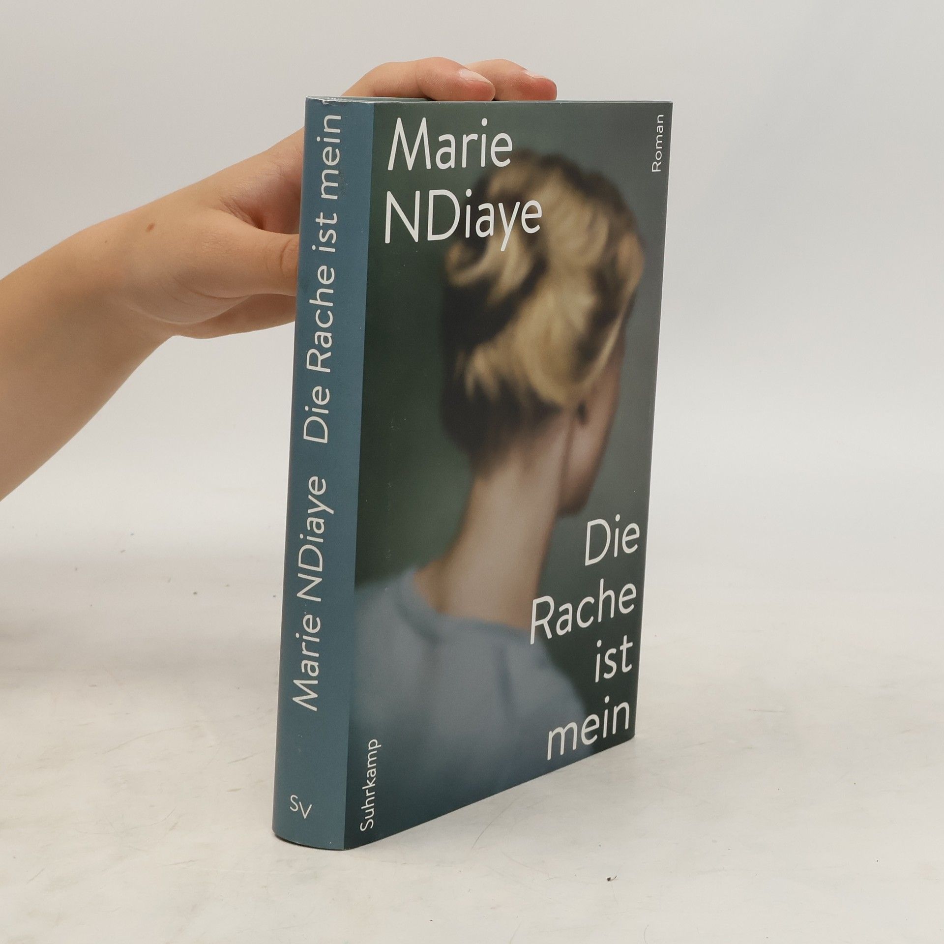 Marie NDiaye Die Rache ist mein