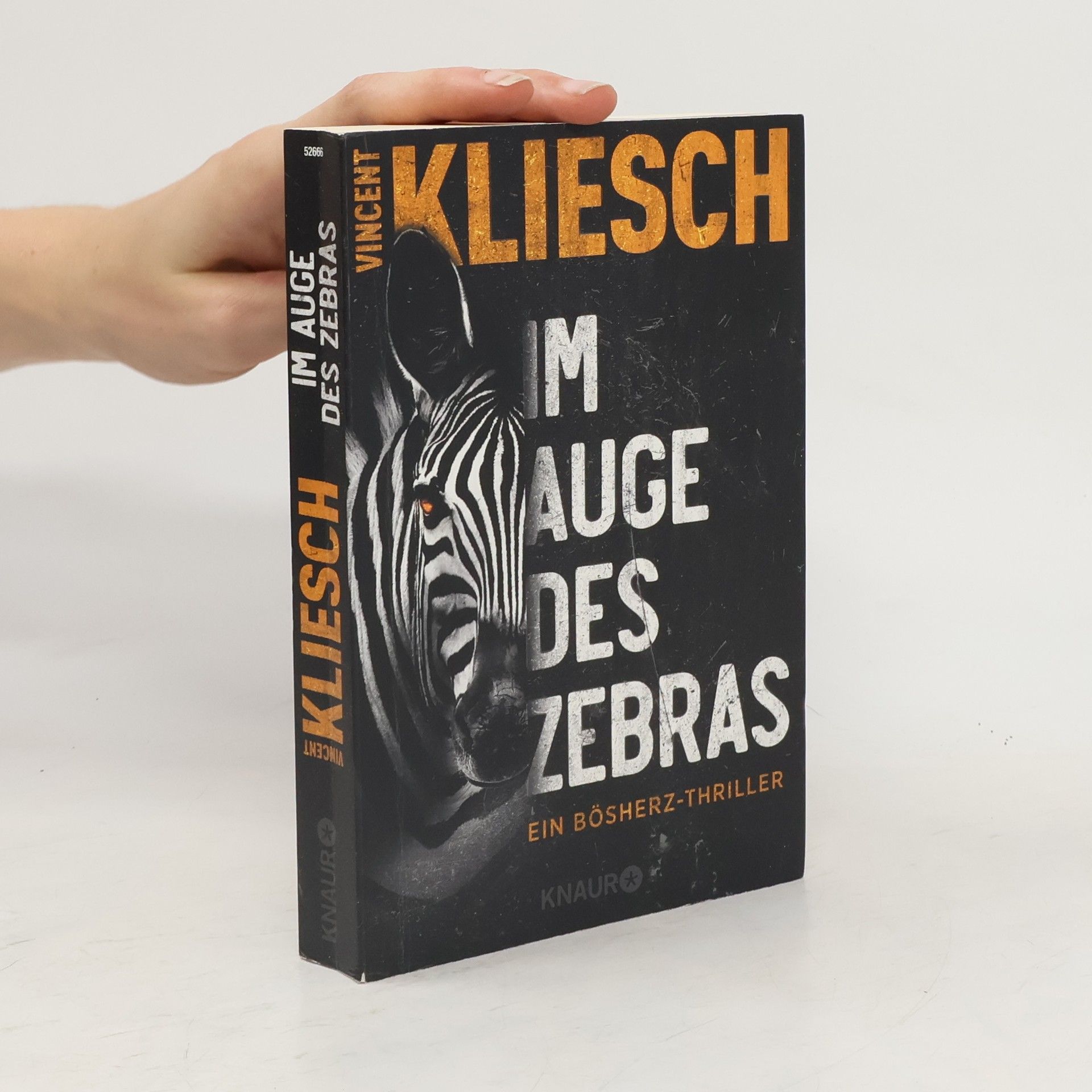 Vincent Kliesch Im Auge des Zebras