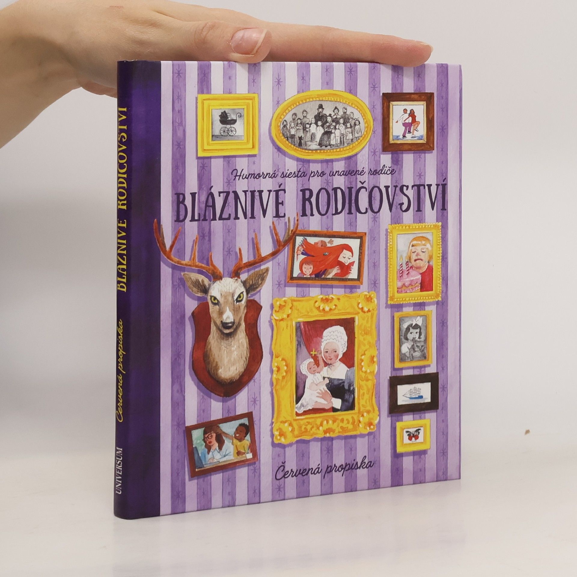 kolektiv Bláznivé rodičovství. Humorná siesta pro unavené rodiče