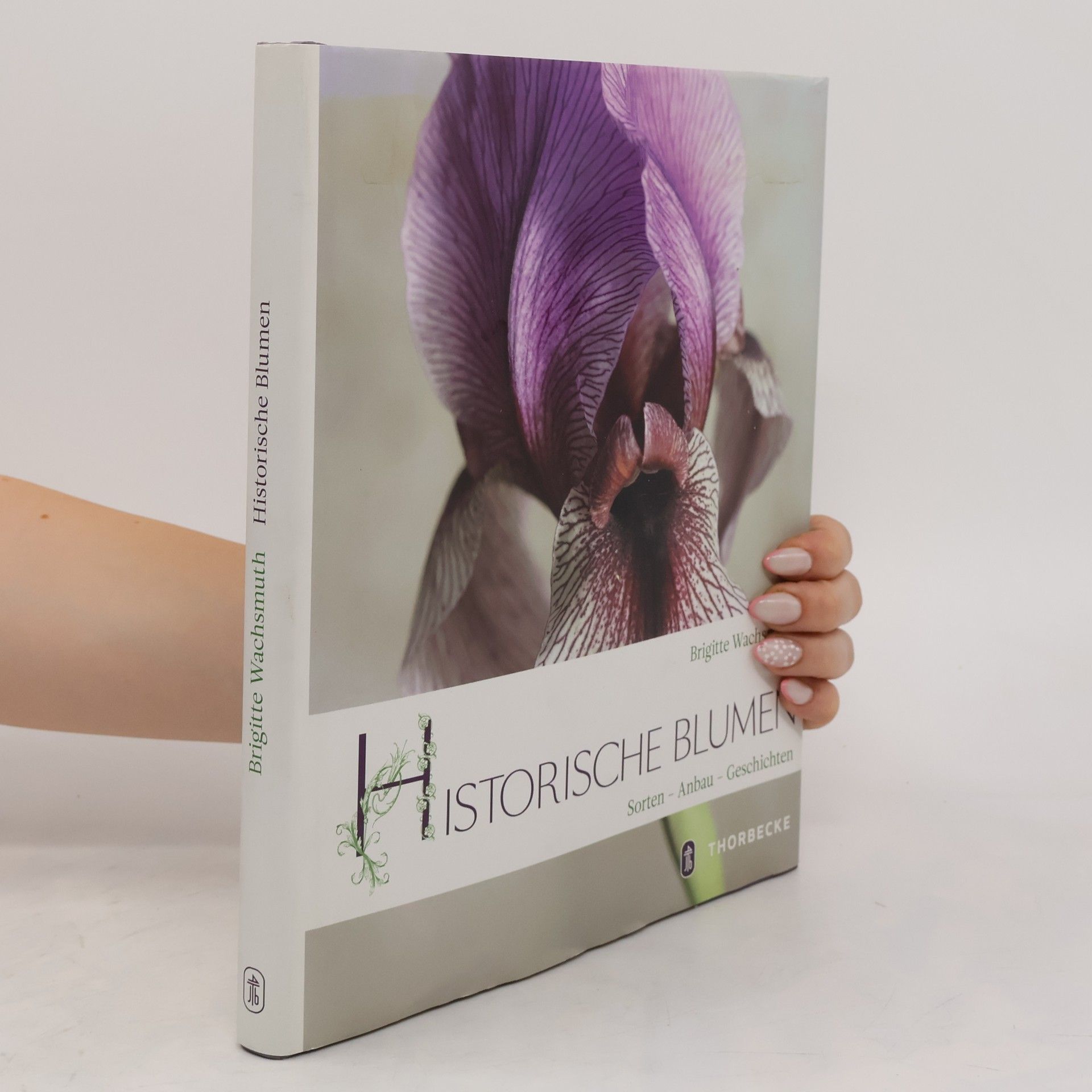 Brigitte Wachsmuth Historische Blumen