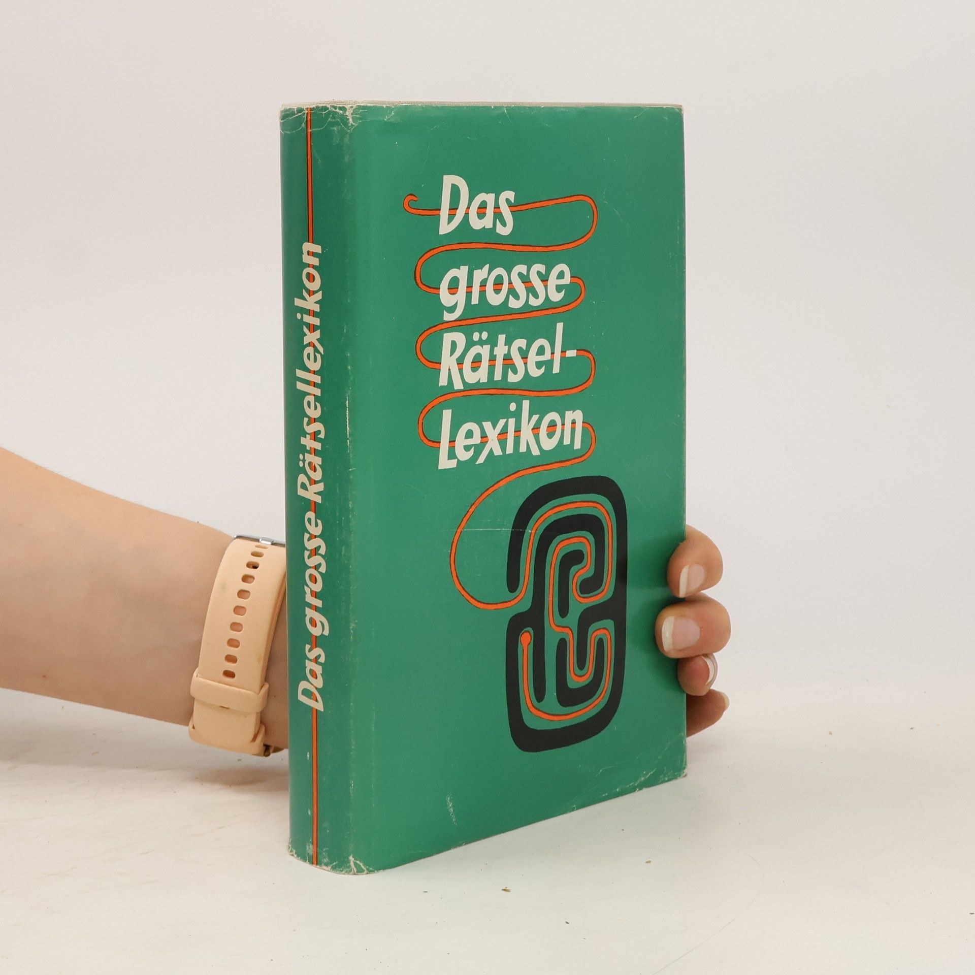 Collectif d'auteurs Das grosse Rätsellexikon