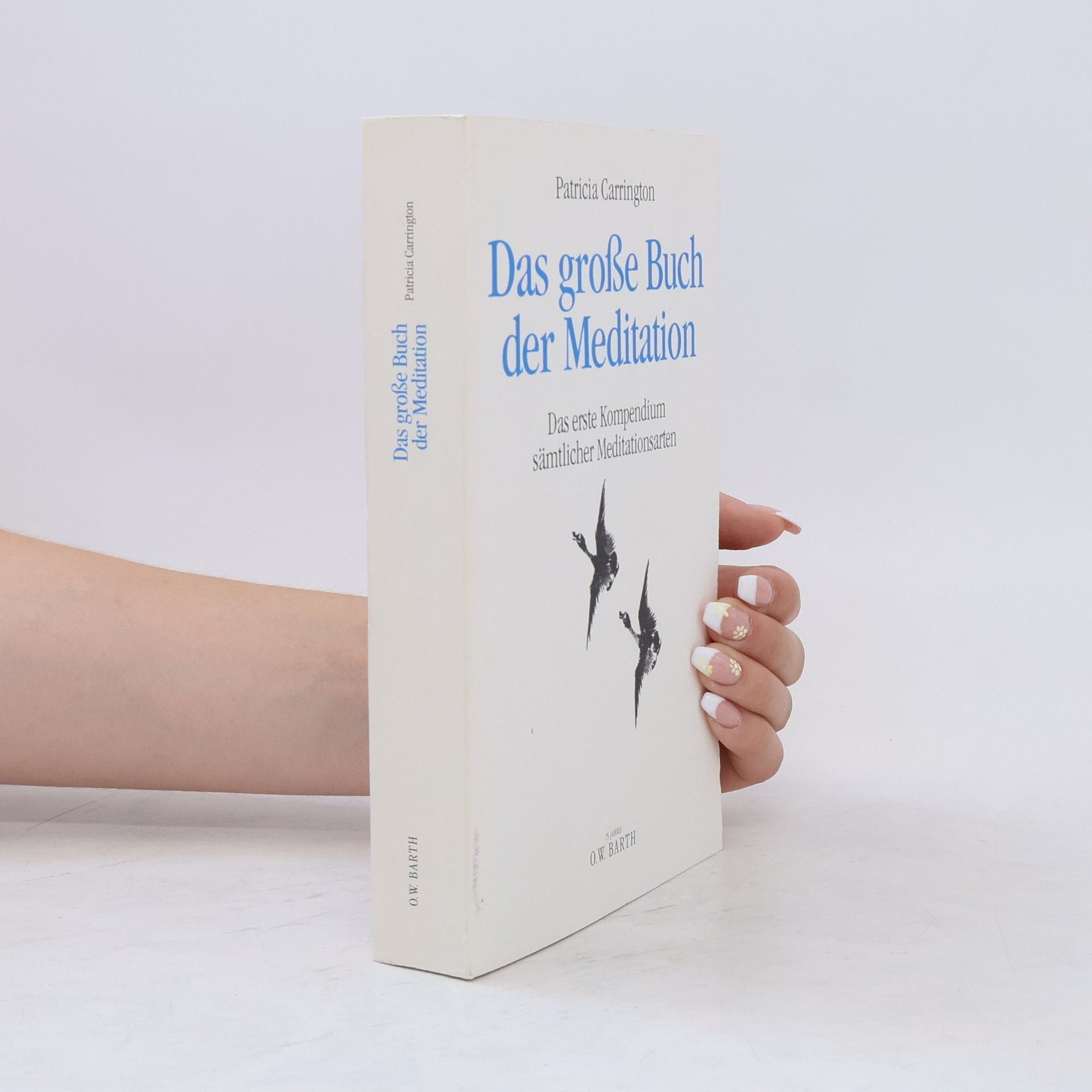 Patricia Carrington Das grosse Buch der Meditation